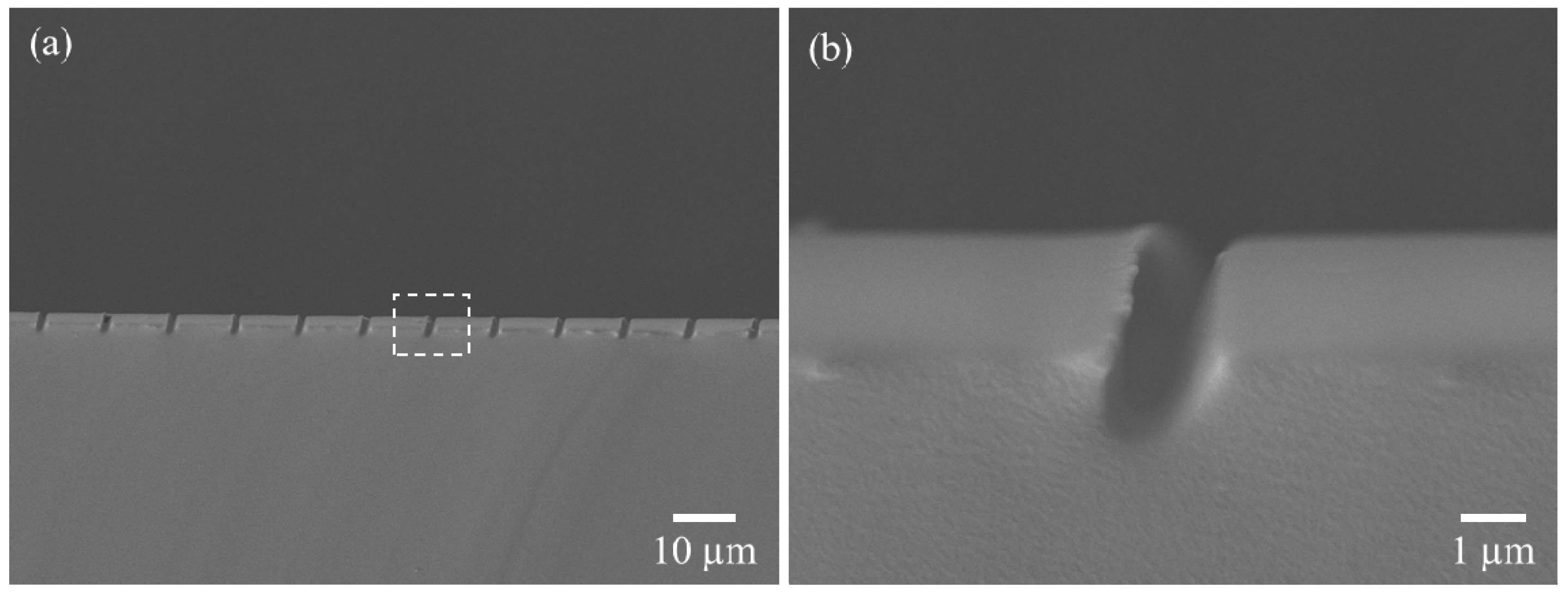 Polymers 13 01045 g006