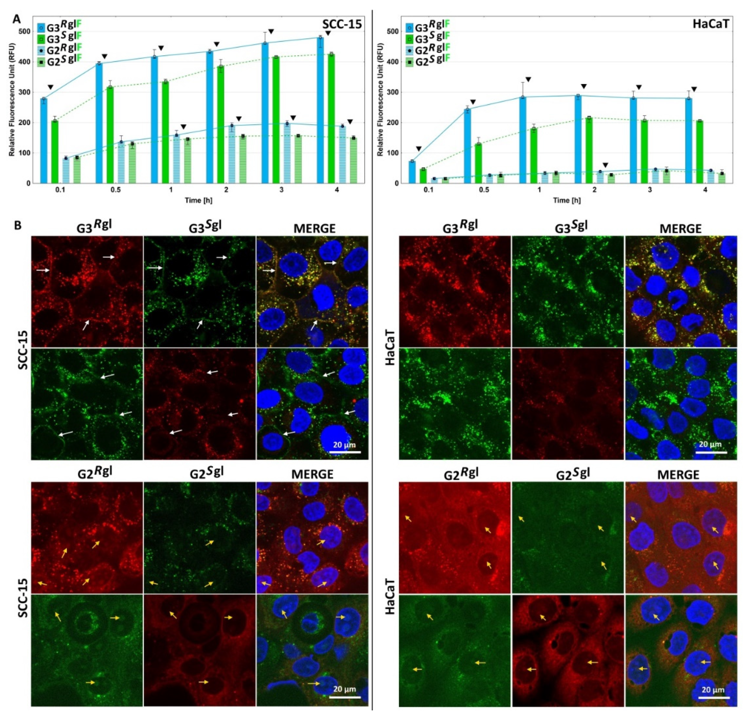 Polymers 13 01049 g006