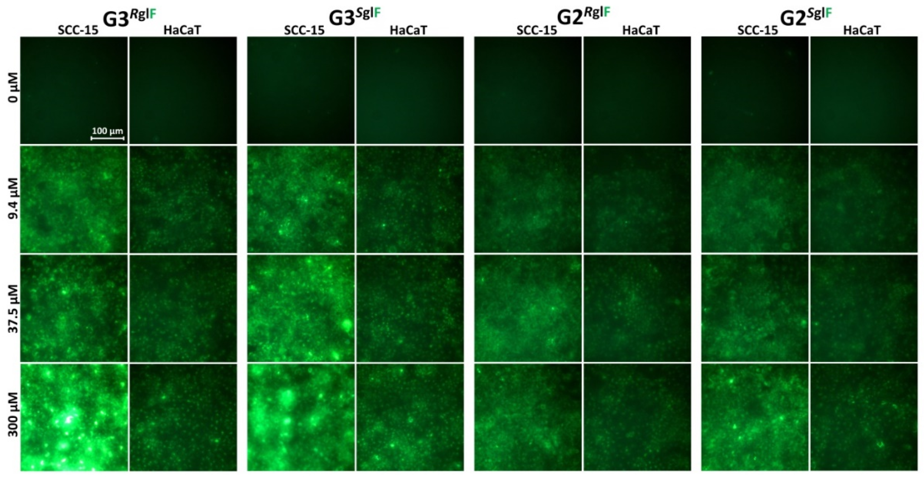 Polymers 13 01049 g007