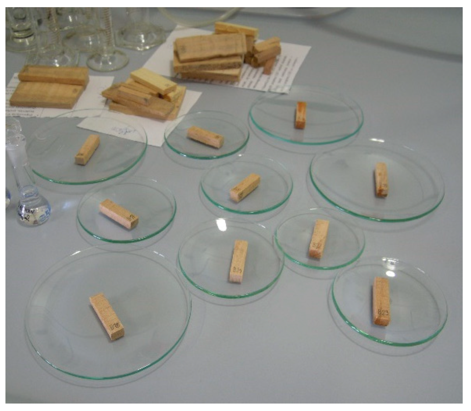 Polymers 13 01052 g001