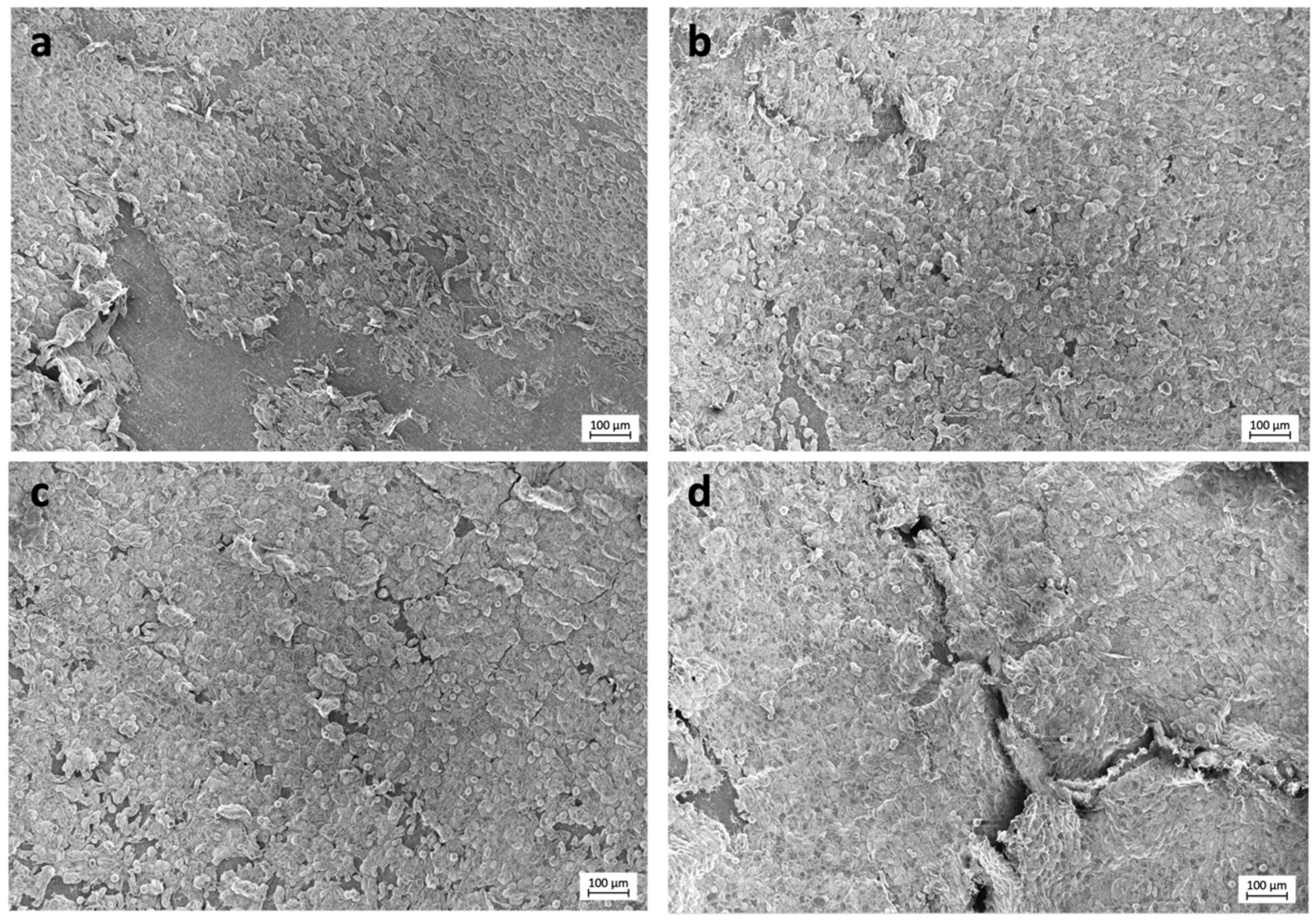 Polymers 13 01063 g003