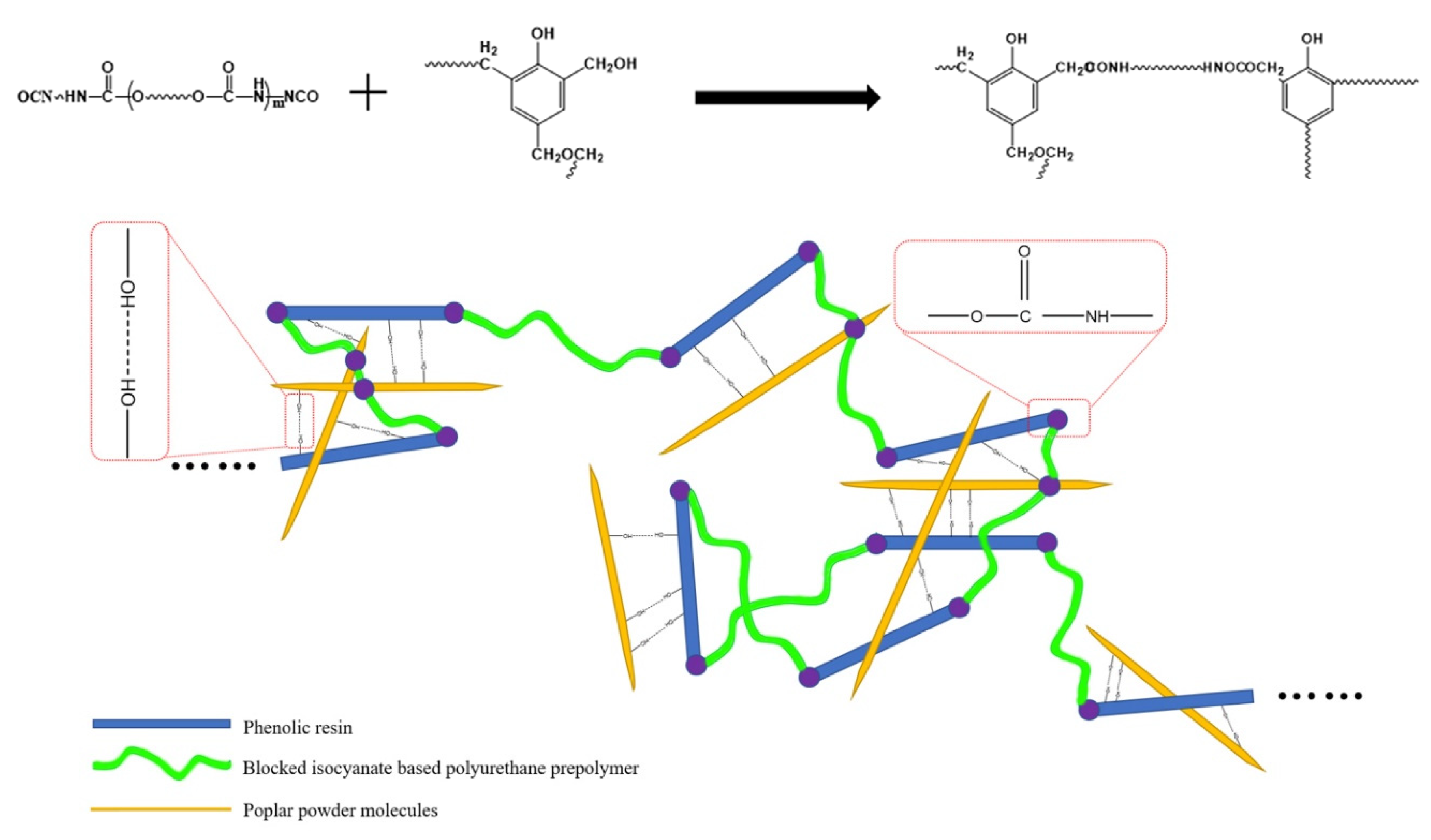 Polymers 13 01068 g003