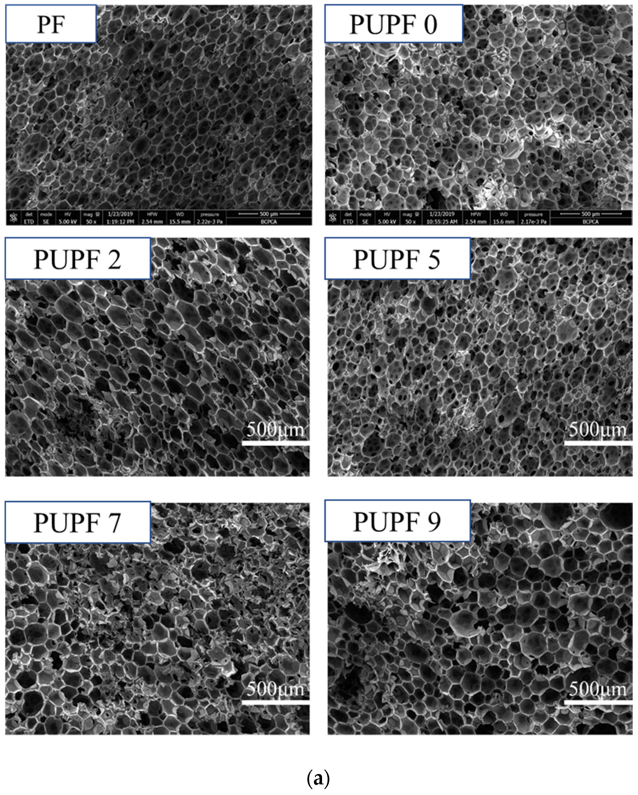 Polymers 13 01068 g005a