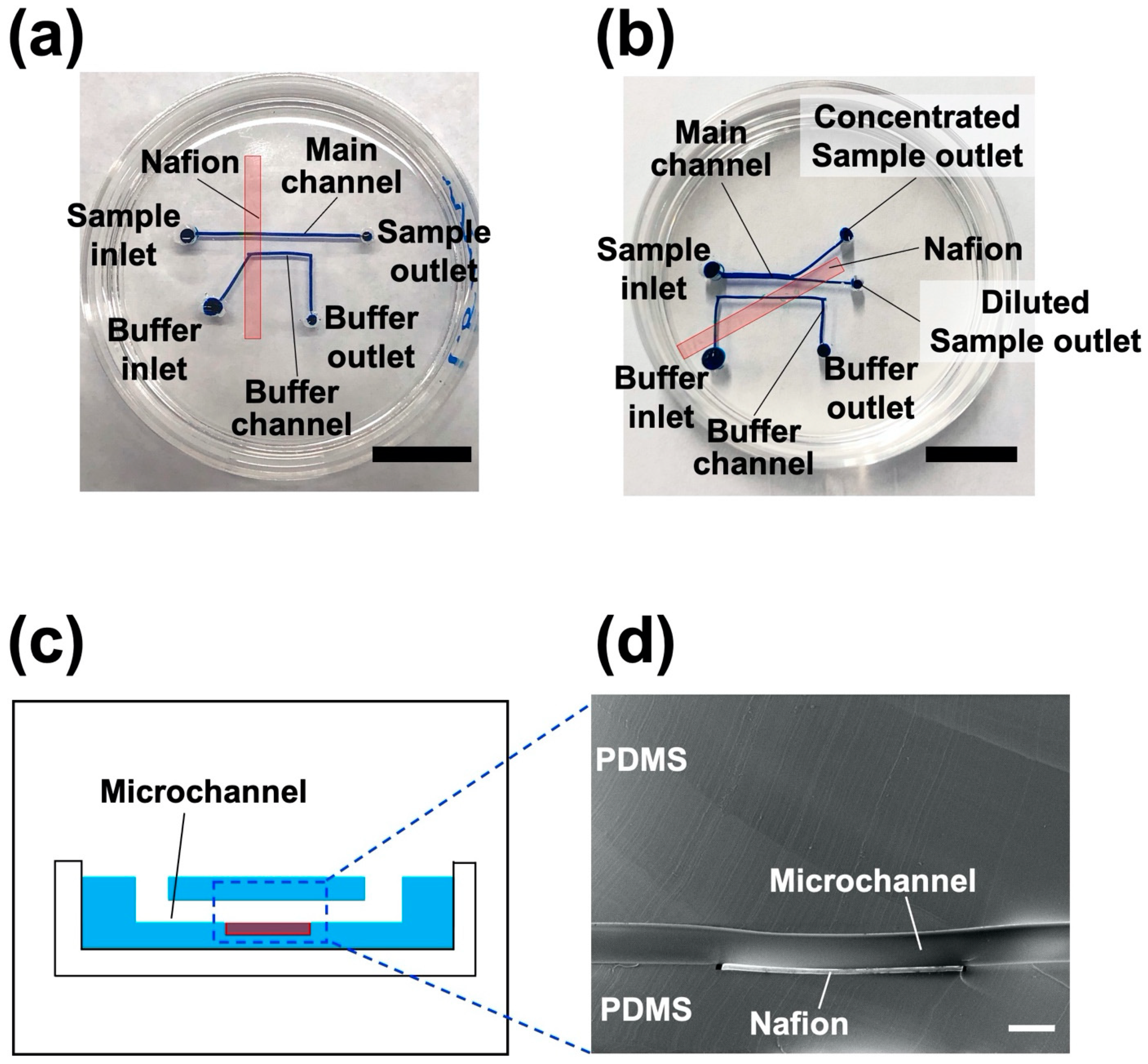 Polymers 13 01069 g005