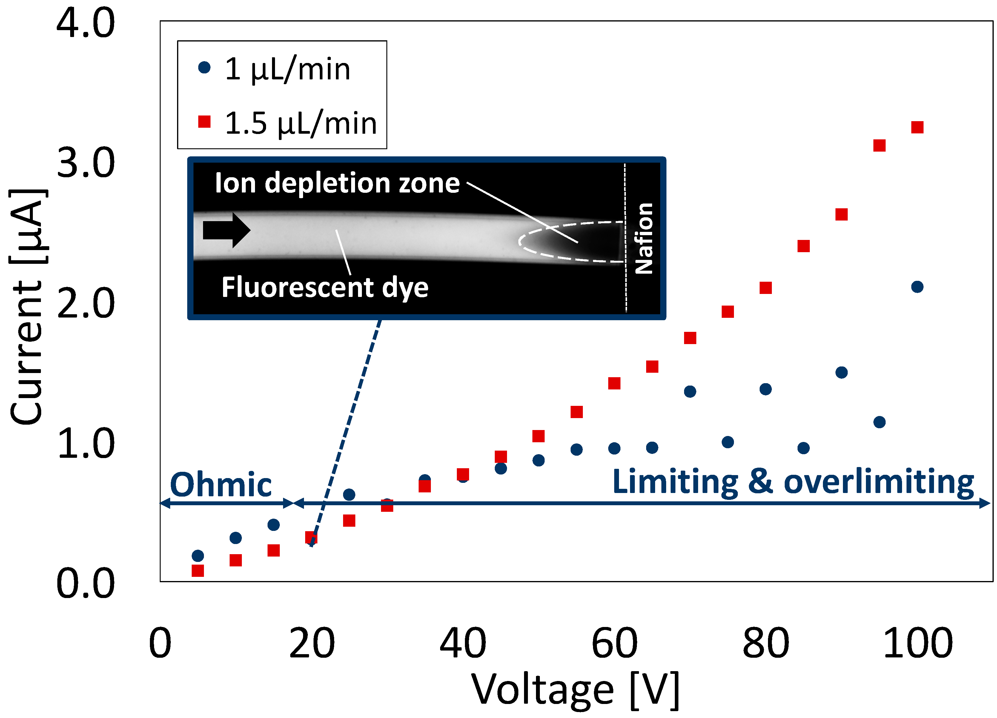 Polymers 13 01069 g006