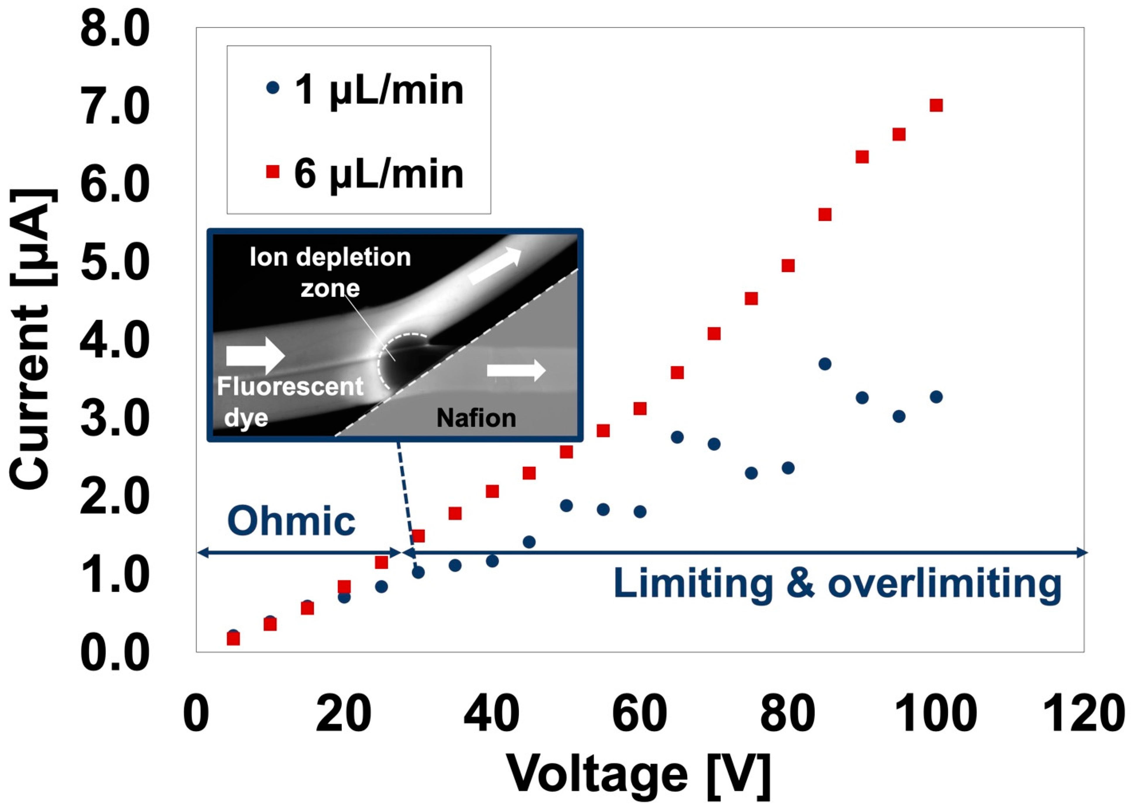 Polymers 13 01069 g008