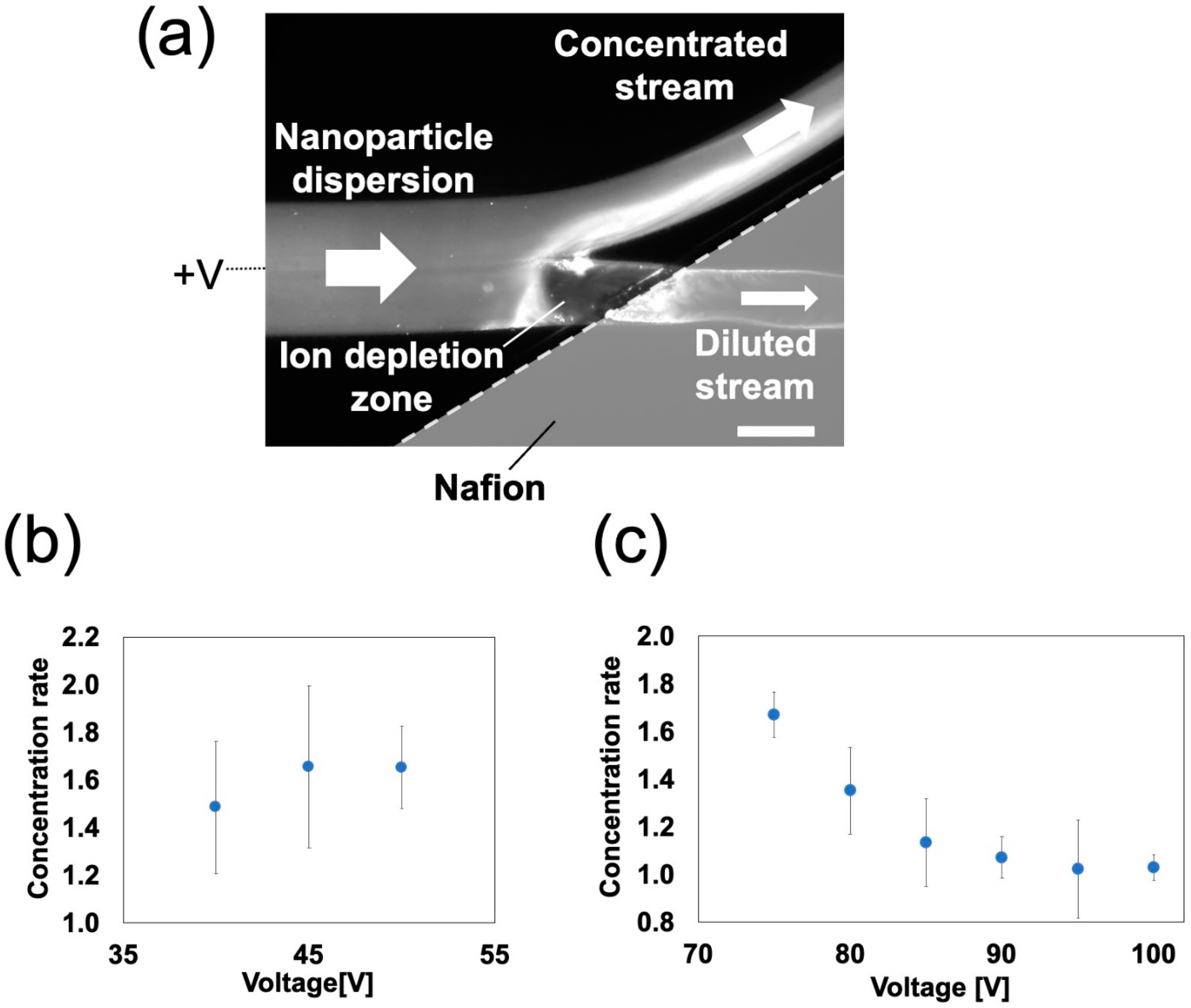 Polymers 13 01069 g009
