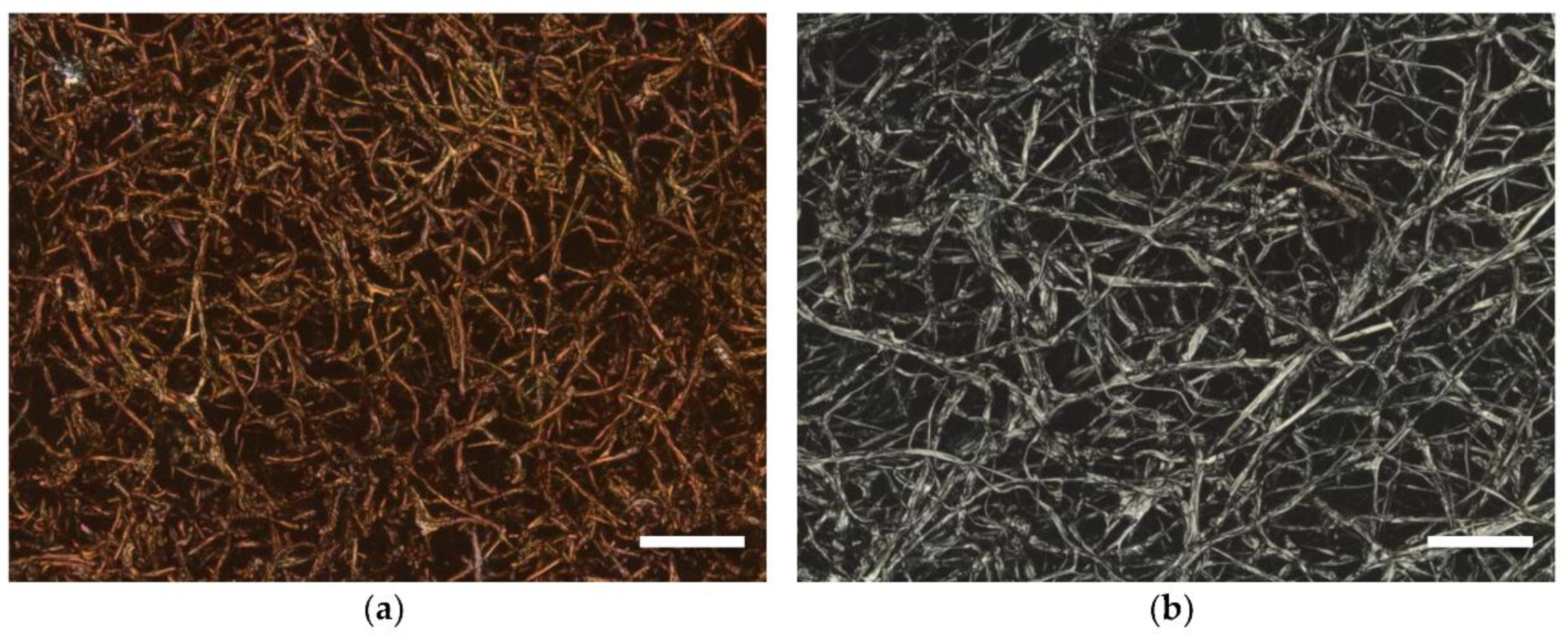 Polymers 13 01071 g002 Polymers 13 01071 g002