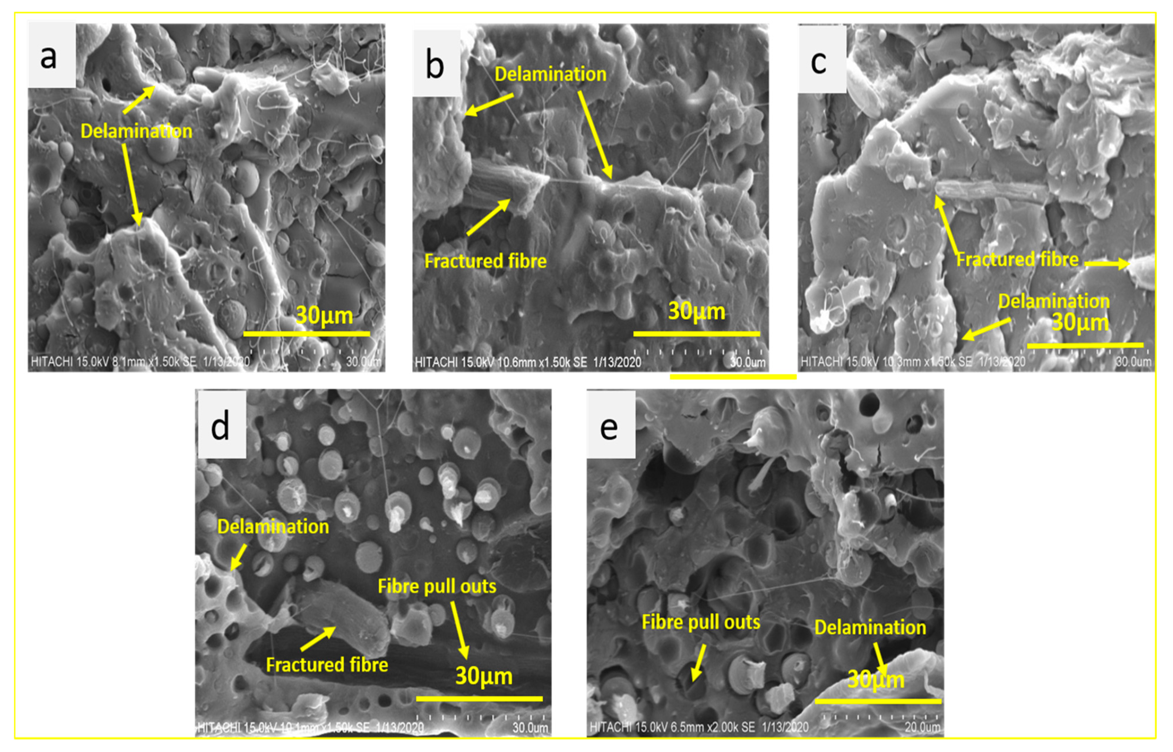 Polymers 13 01076 g008