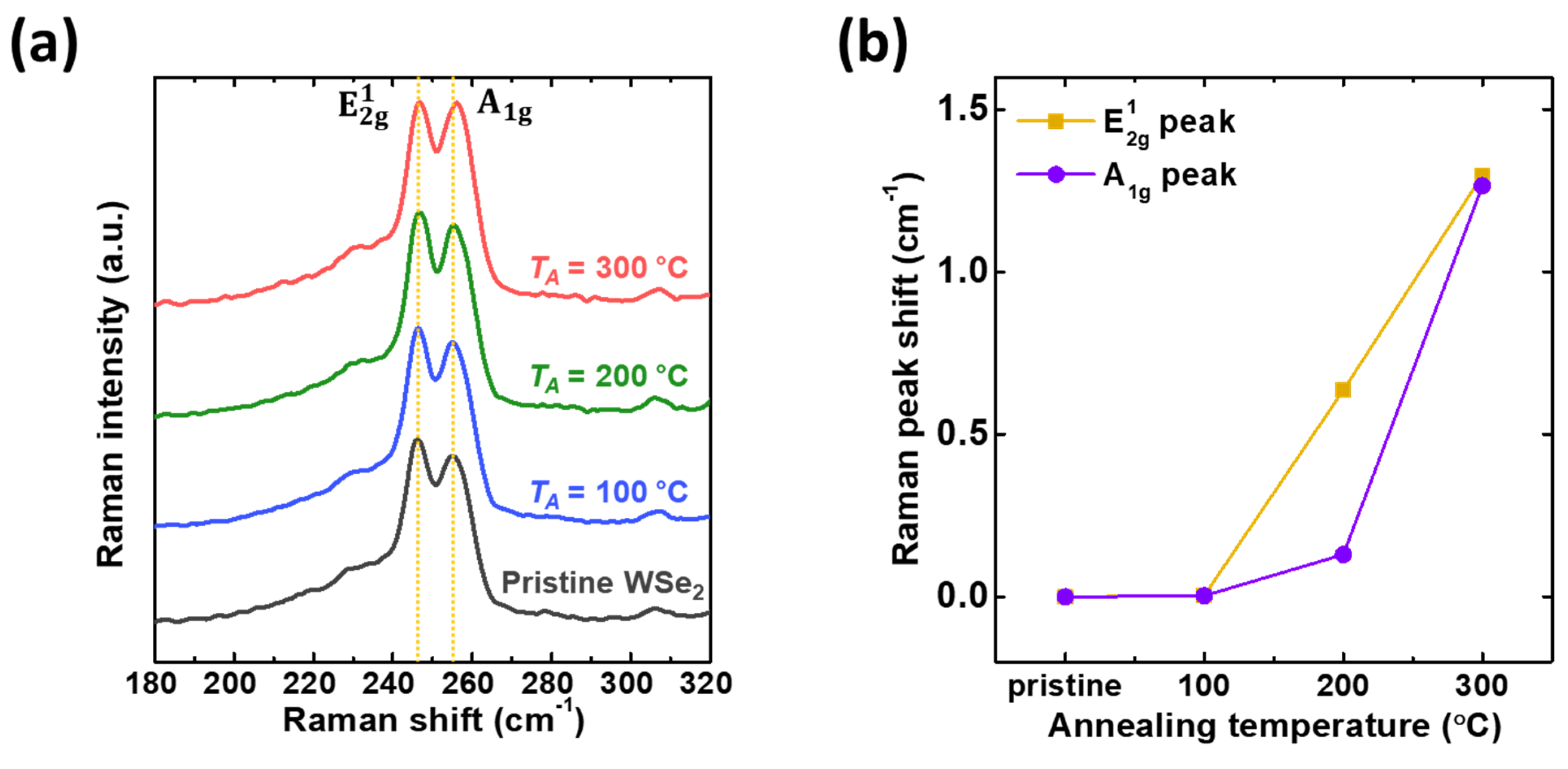 Polymers 13 01087 g005