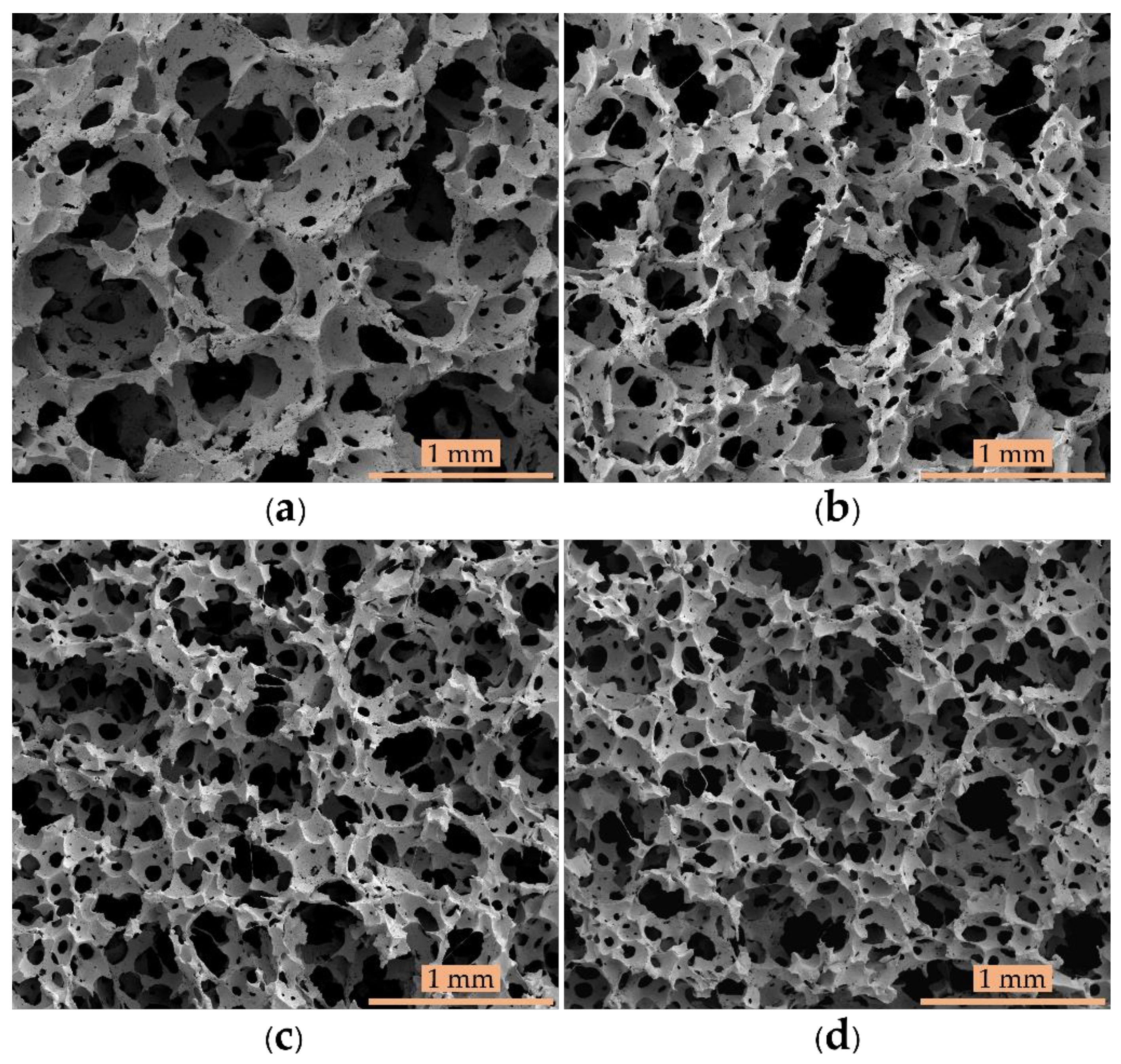 Polymers 13 01091 g001