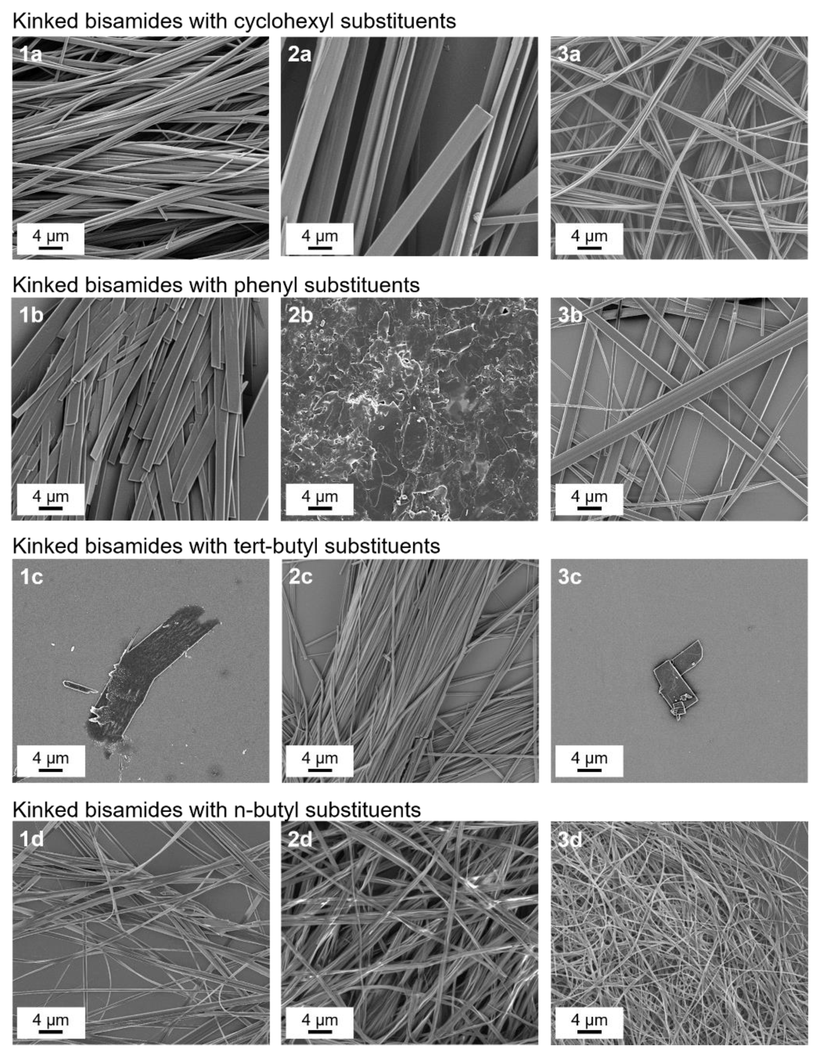 Polymers 13 01094 g001