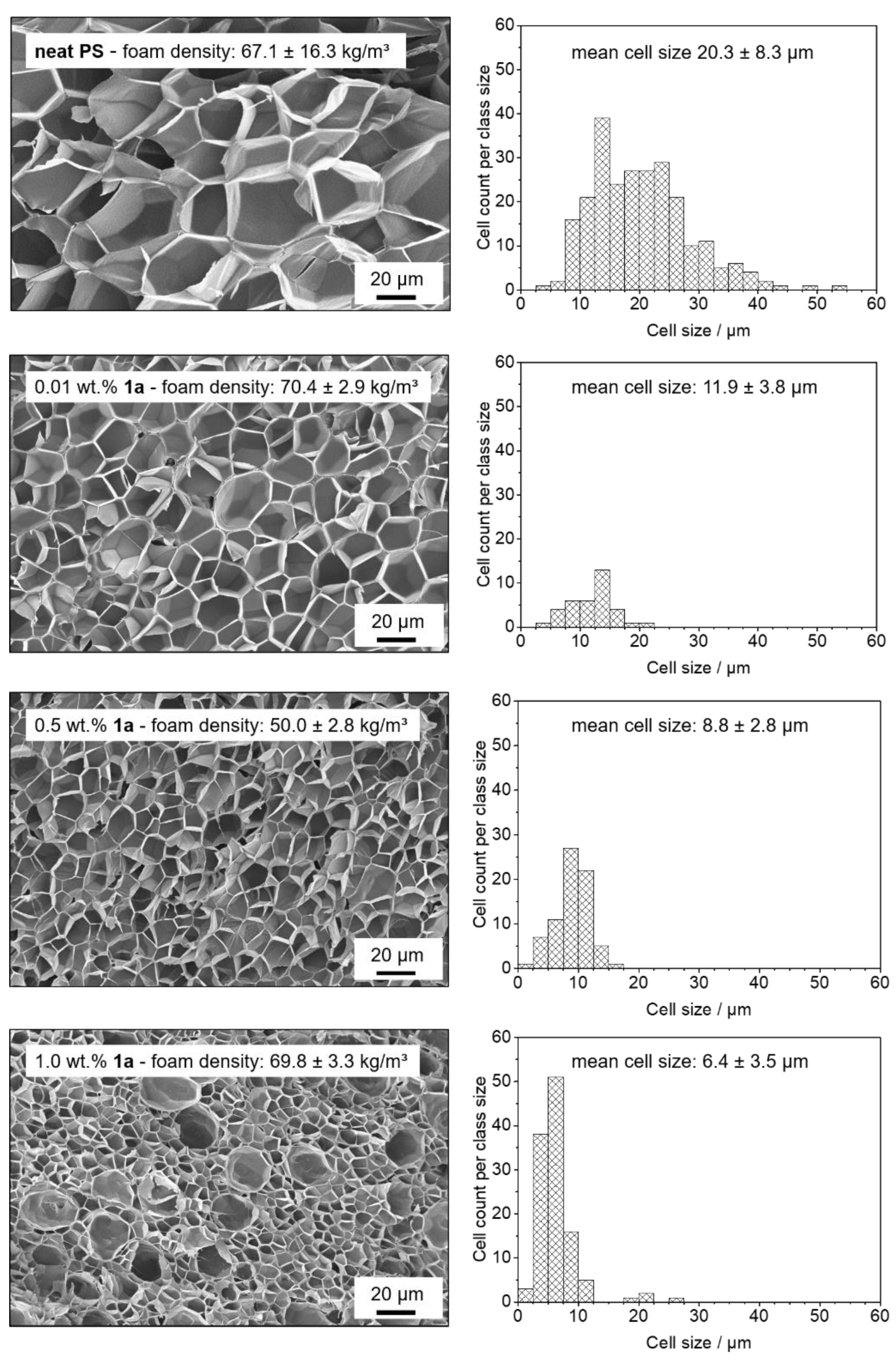 Polymers 13 01094 g003