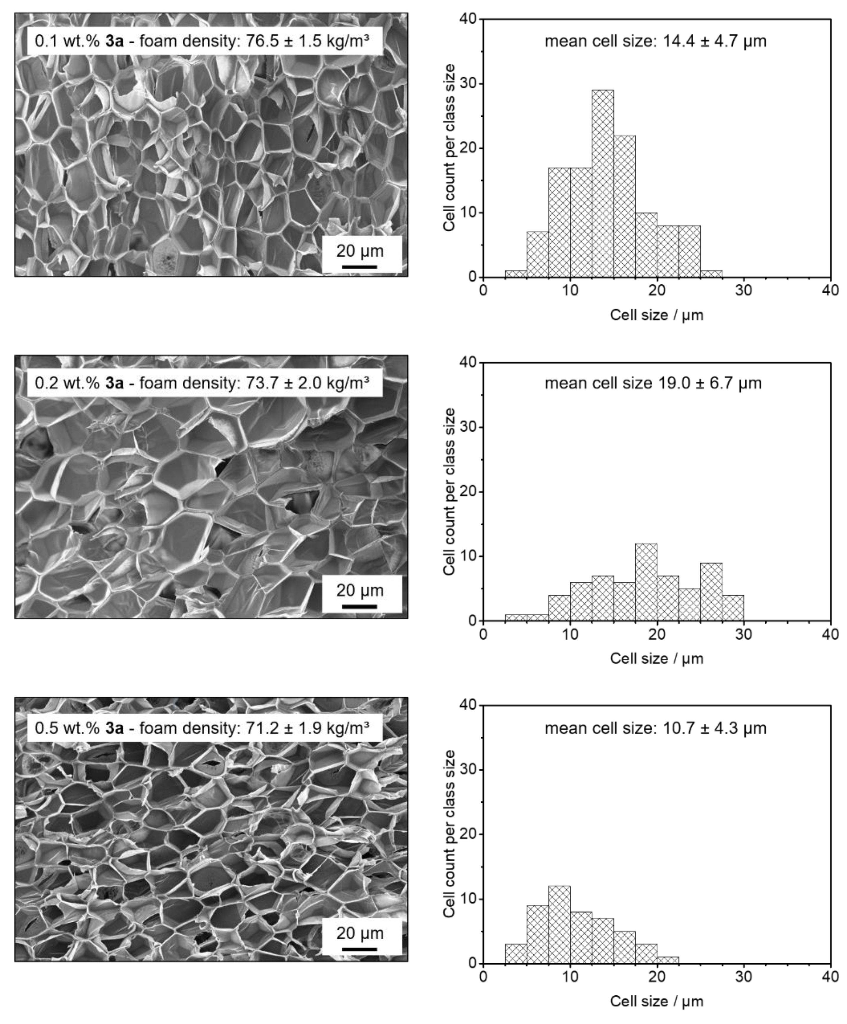 Polymers 13 01094 g006