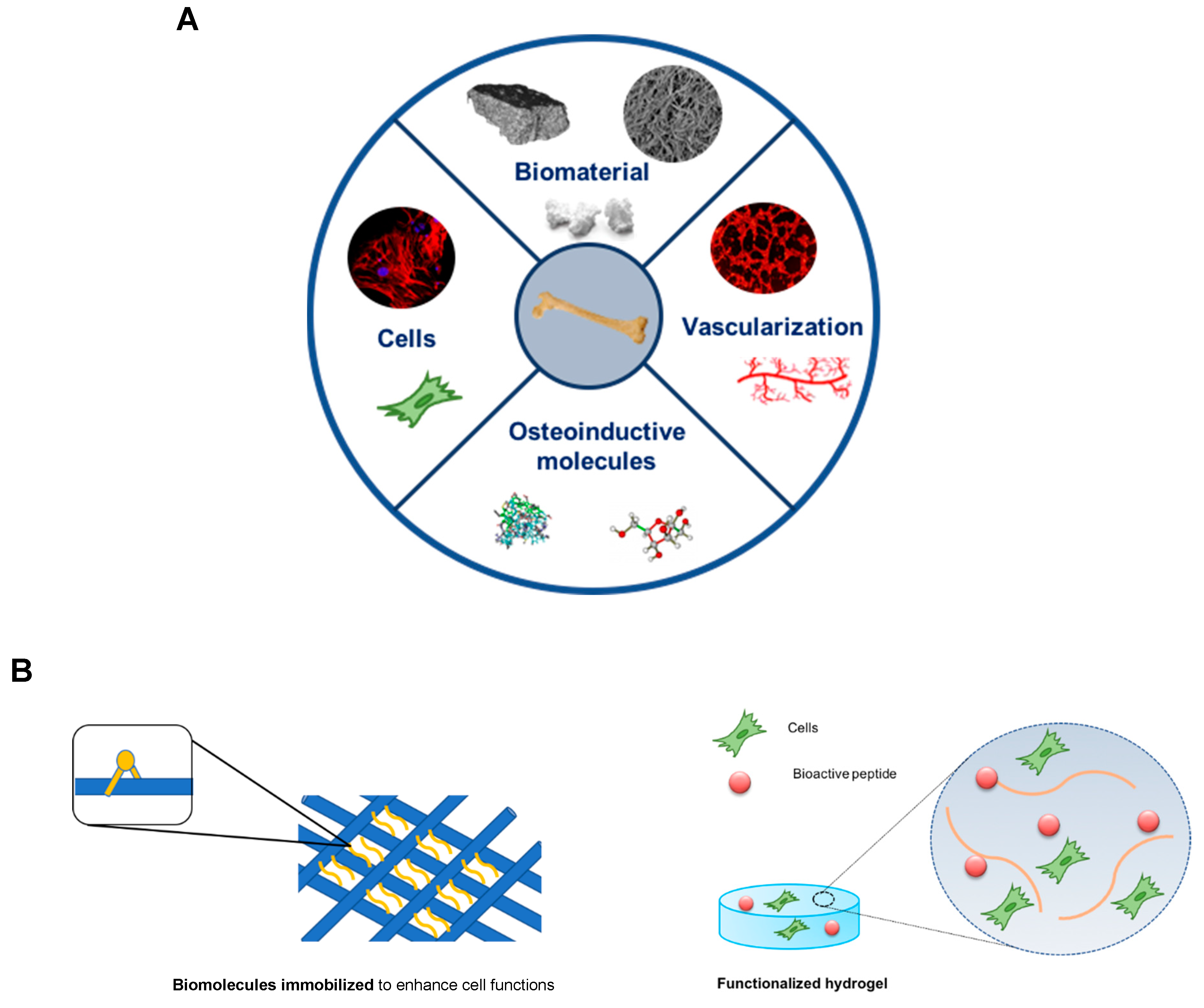 Polymers 13 01095 g002