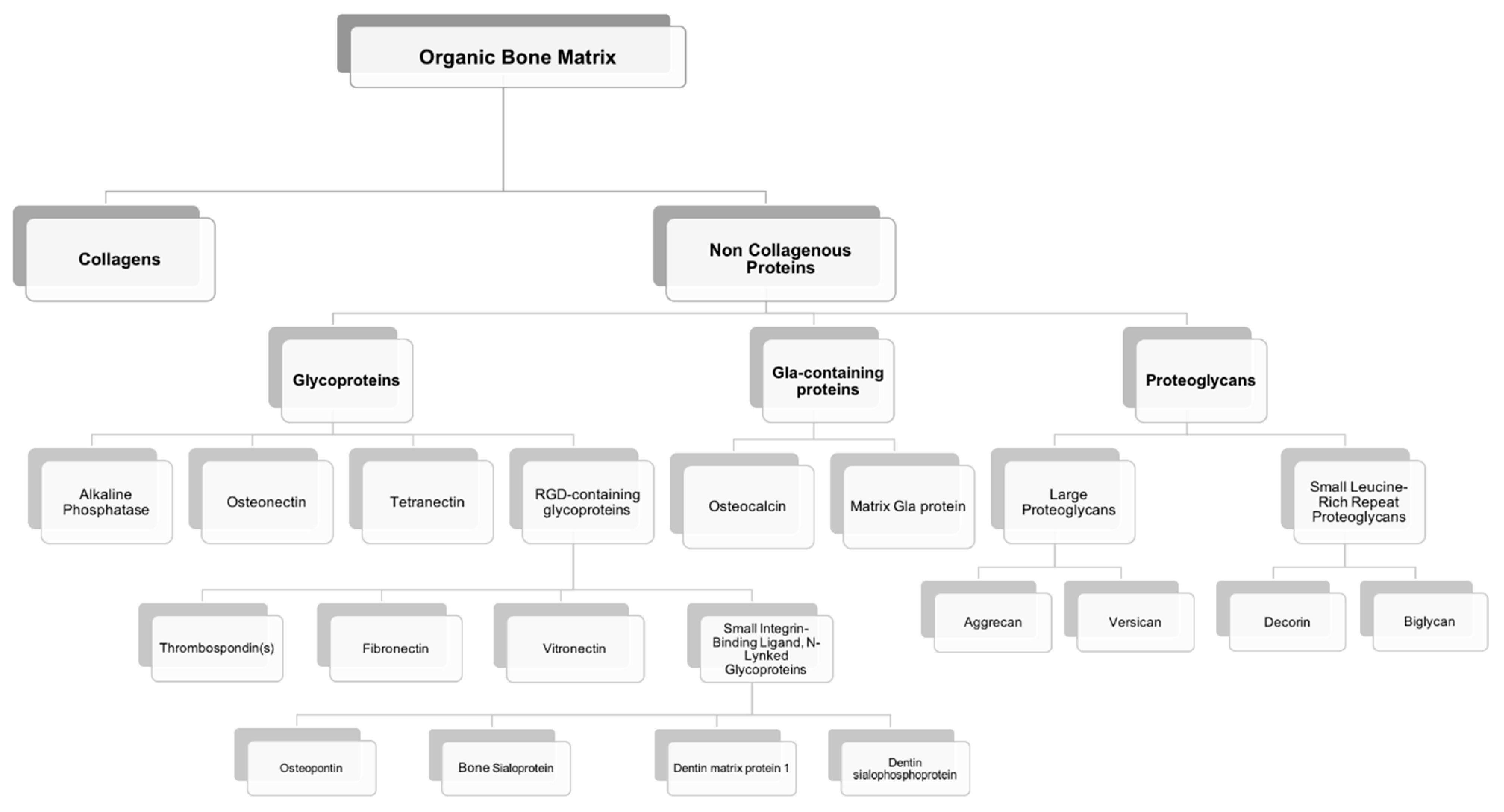 Polymers 13 01095 g003