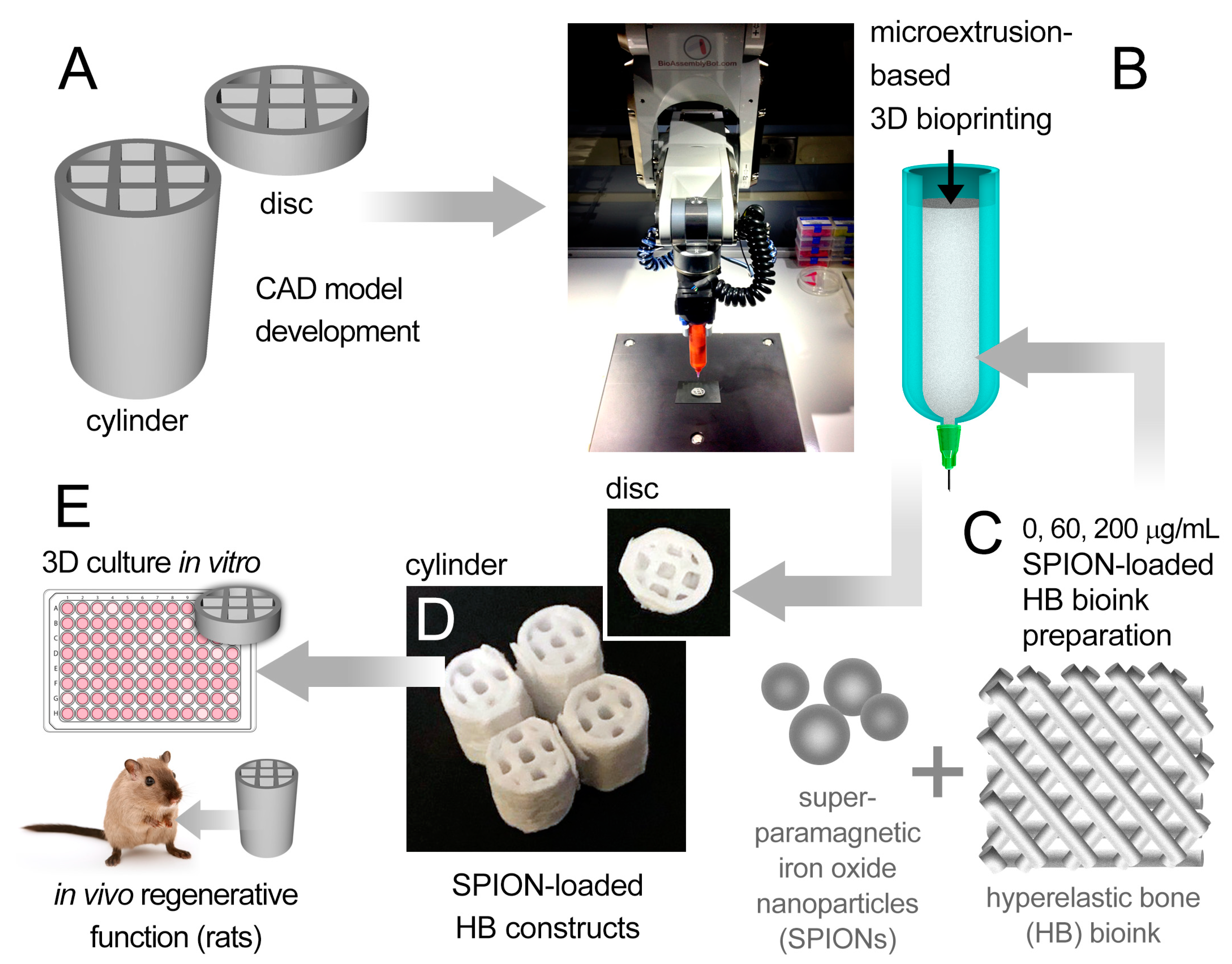 Polymers 13 01099 g001