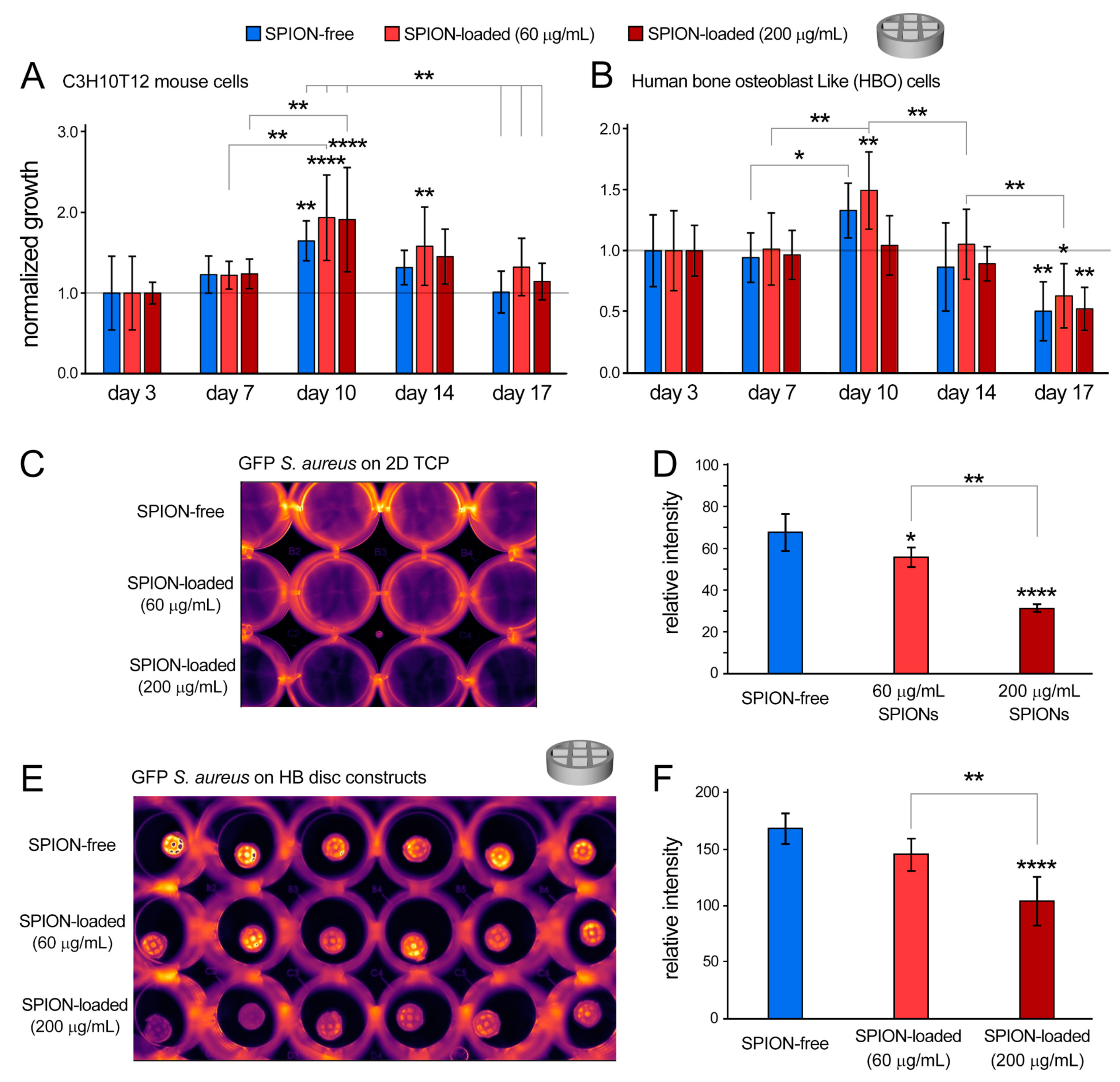 Polymers 13 01099 g004