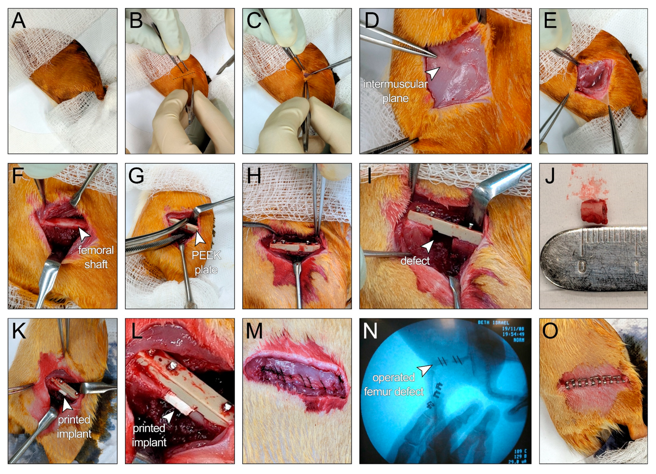 Polymers 13 01099 g005