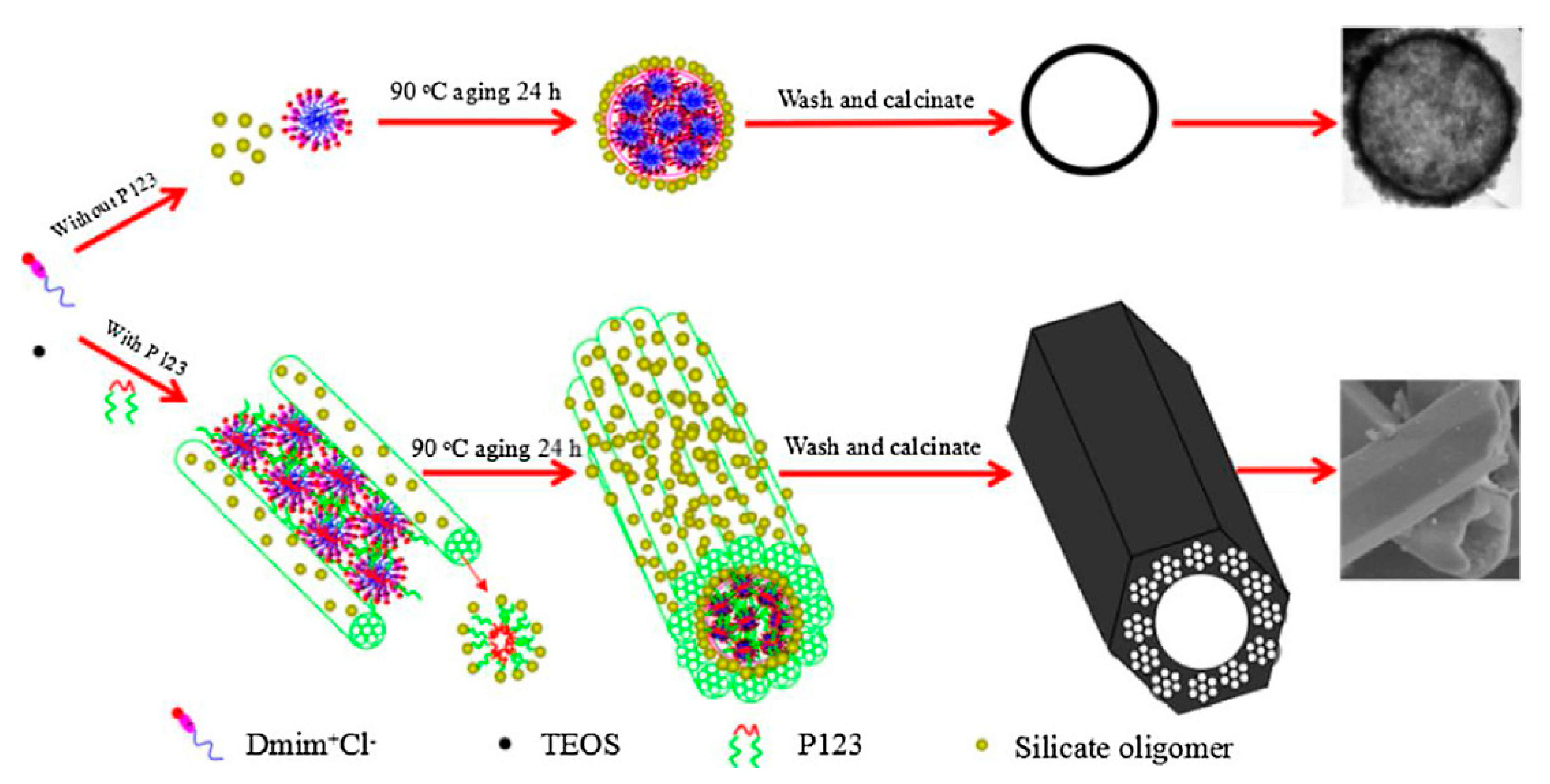 Polymers 13 01100 g011