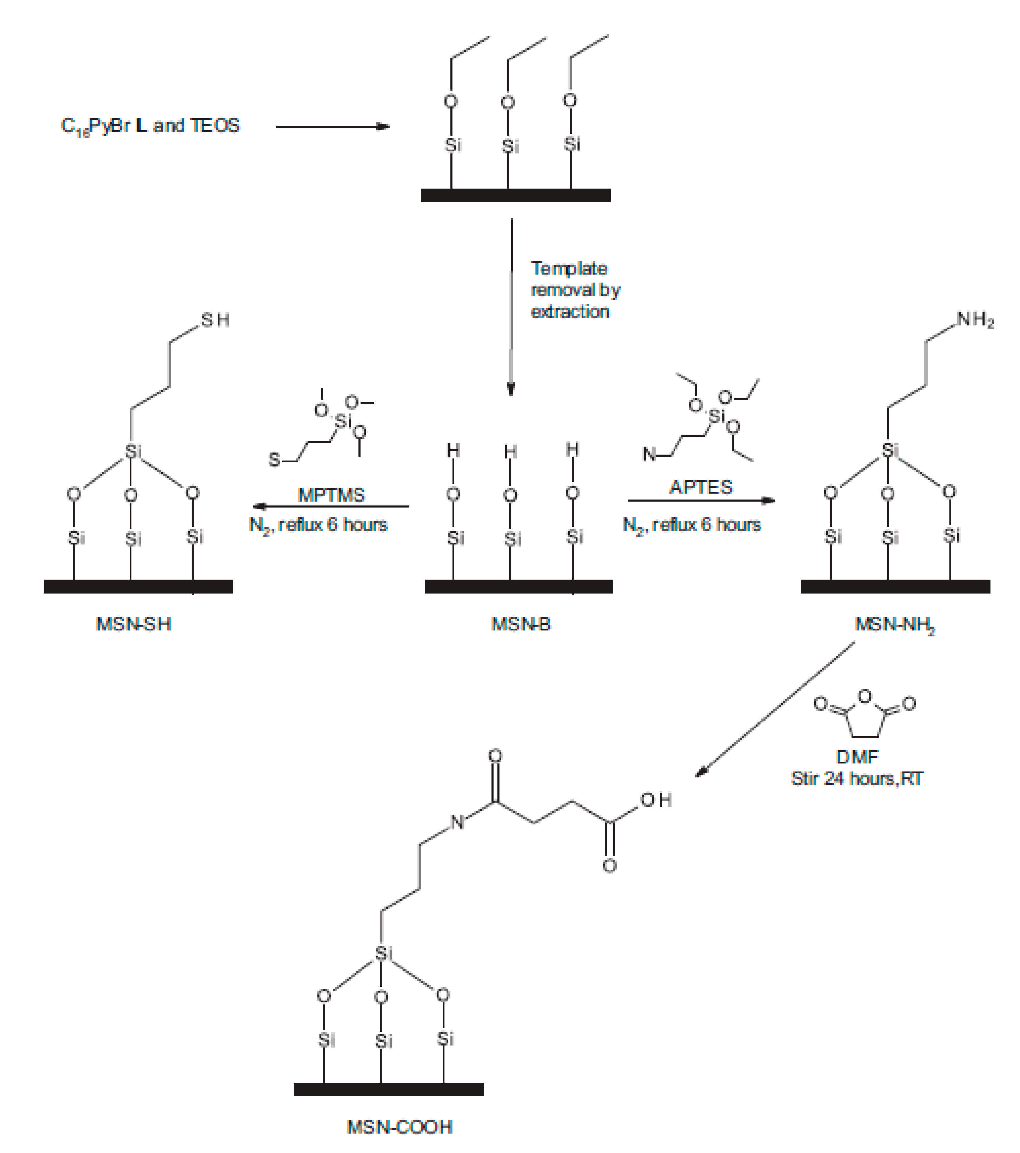 Polymers 13 01100 g013