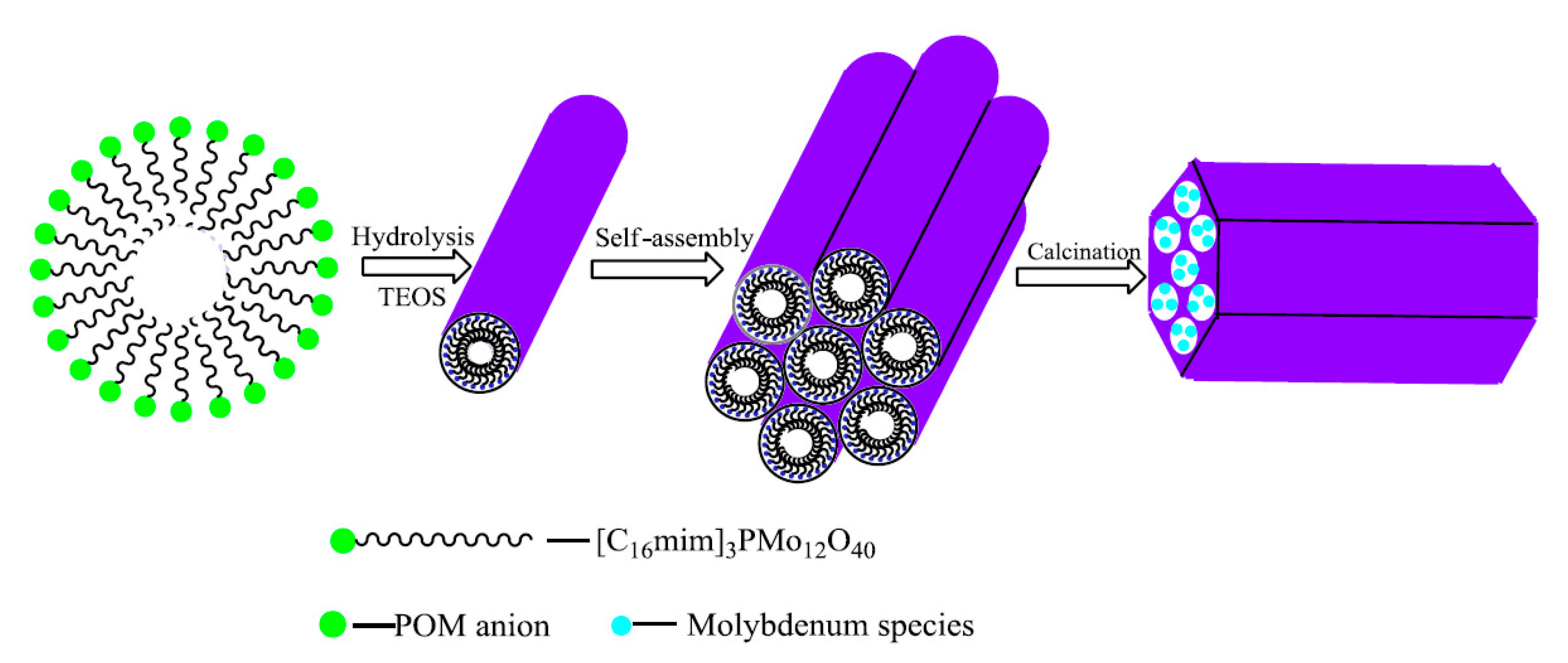 Polymers 13 01100 g014