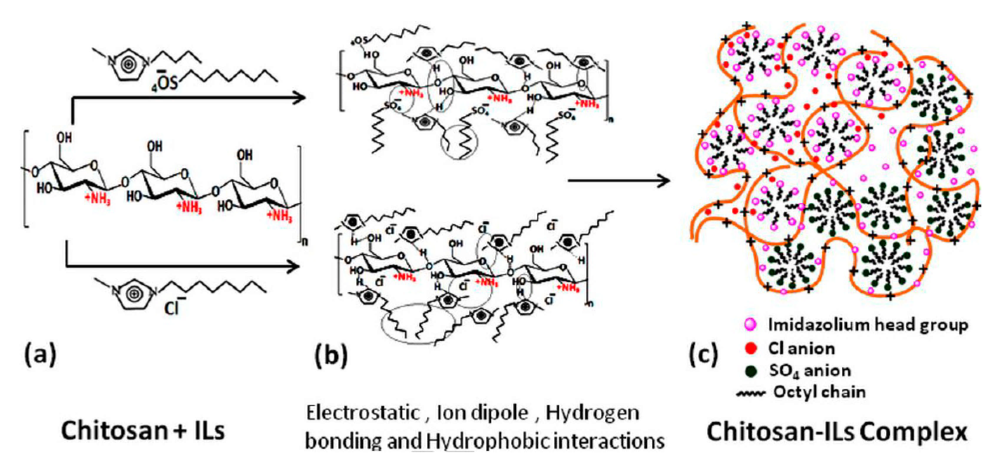 Polymers 13 01100 g017