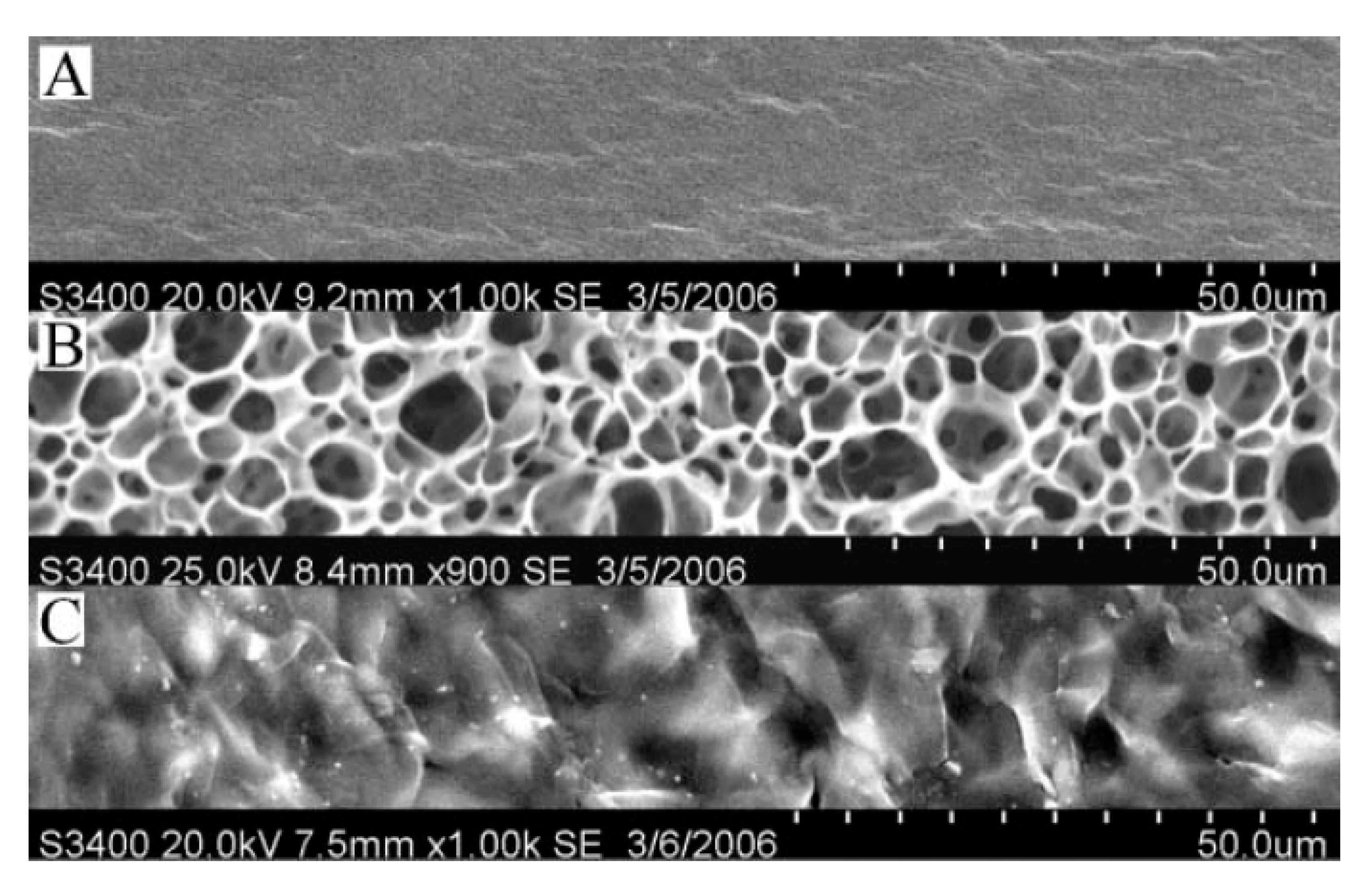 Polymers 13 01100 g022