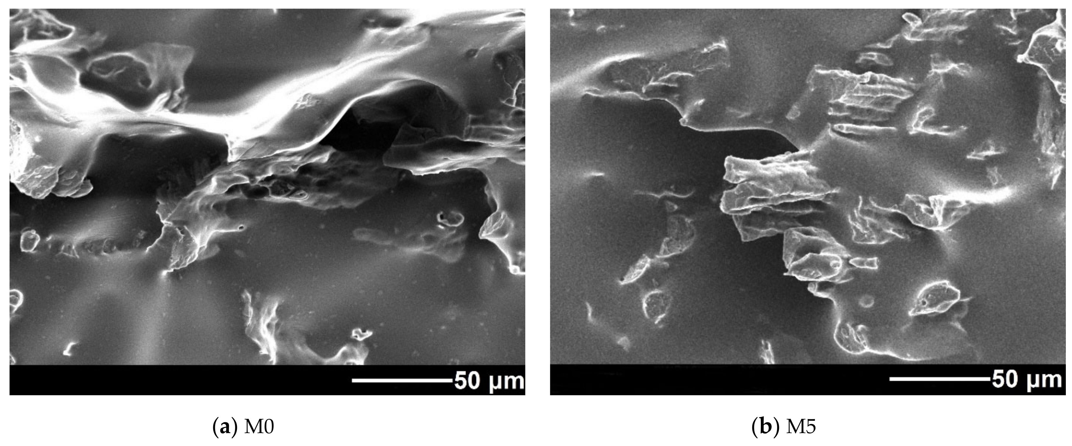 Polymers 13 01101 g008a