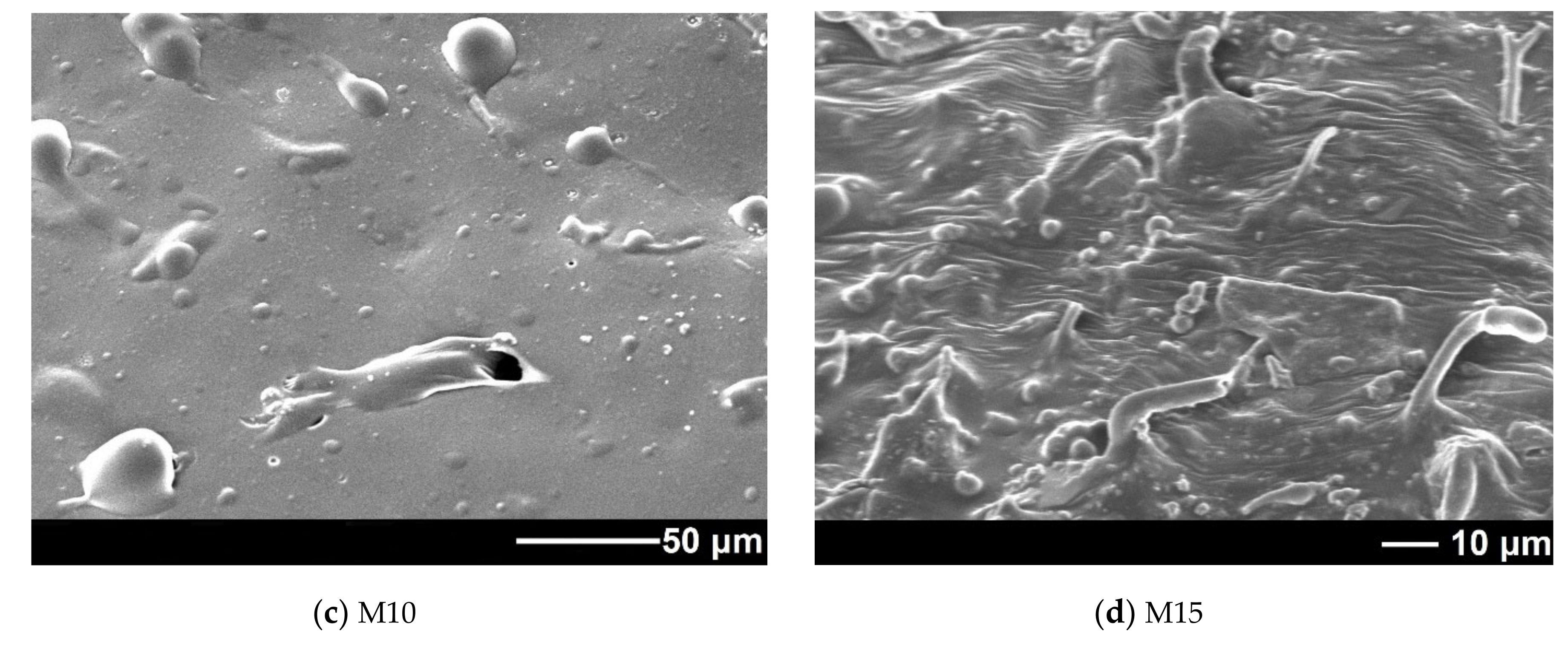 Polymers 13 01101 g008b
