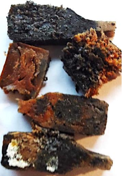 Polymers 13 01103 i029 Polymers 13 01103 i029