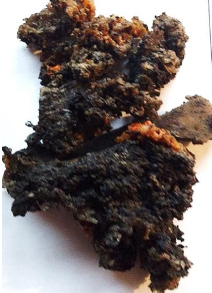 Polymers 13 01103 i032 Polymers 13 01103 i032