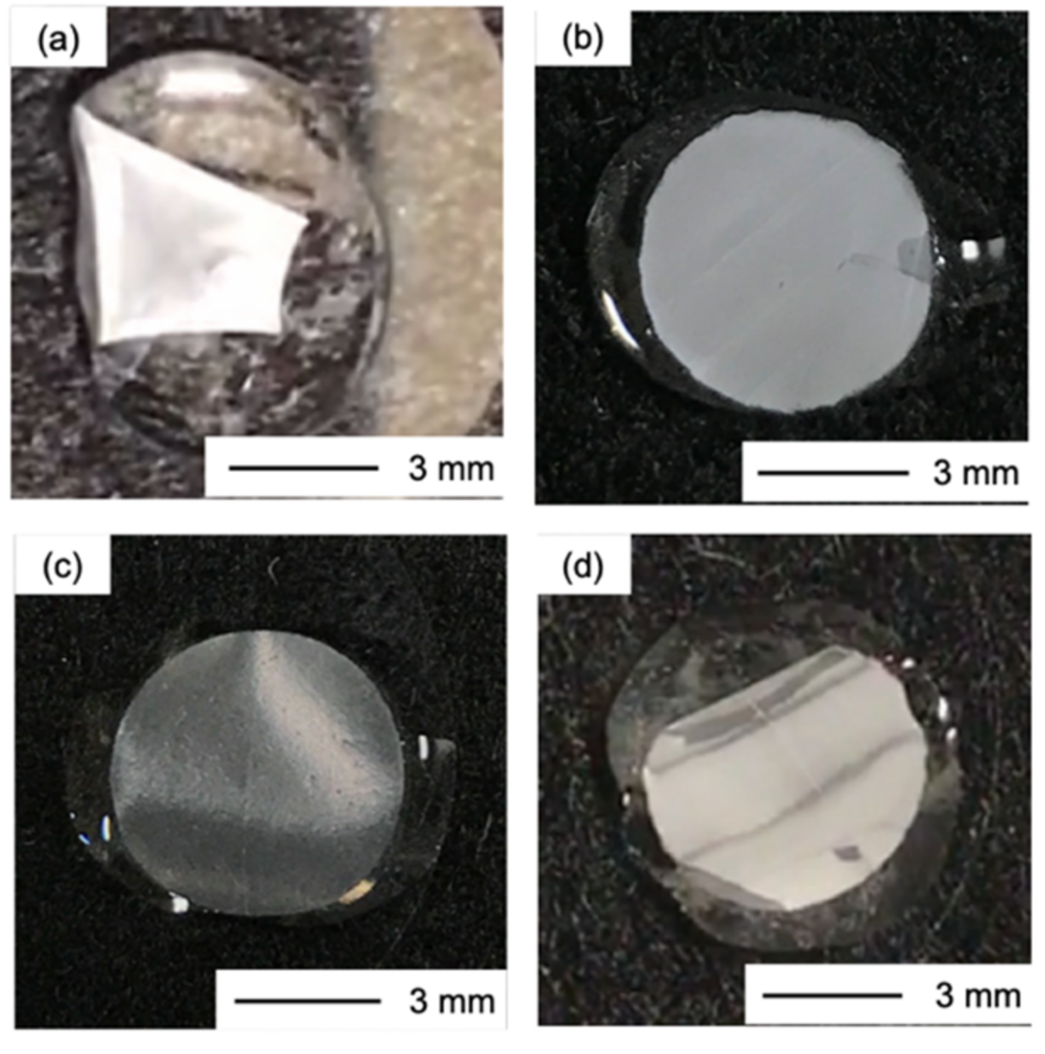 Polymers 13 01104 g005 Polymers 13 01104 g005