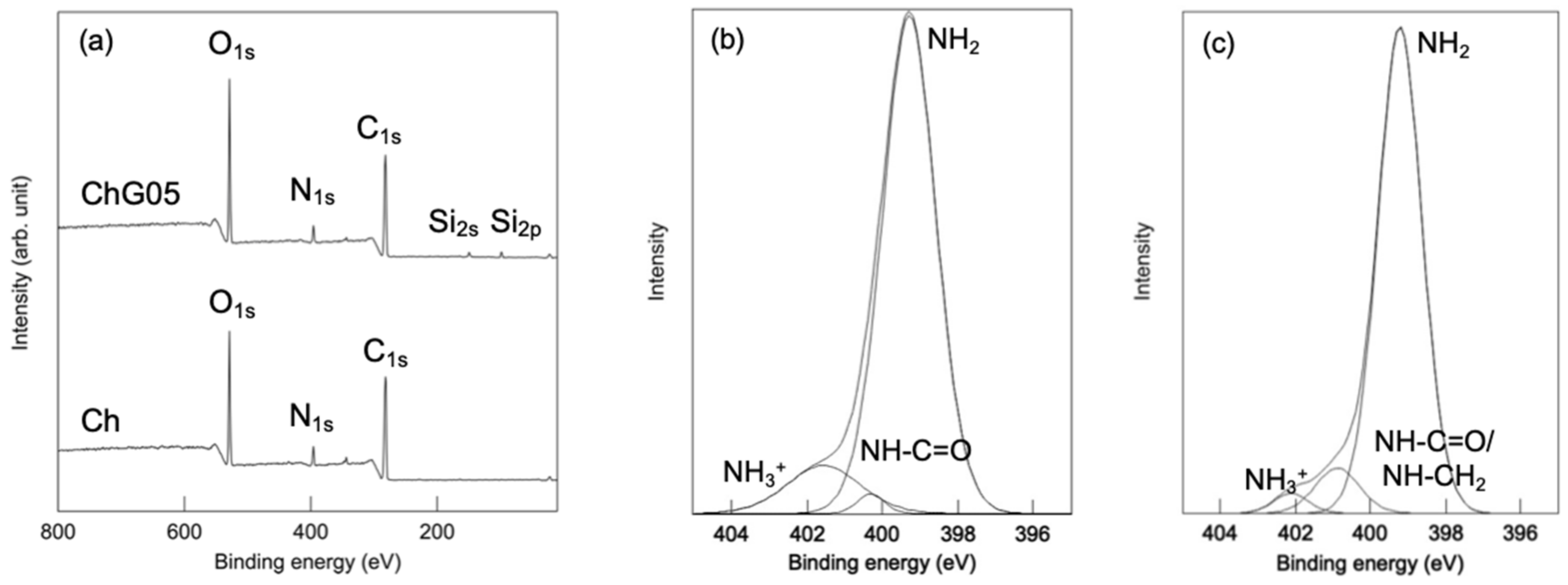Polymers 13 01104 g007 Polymers 13 01104 g007