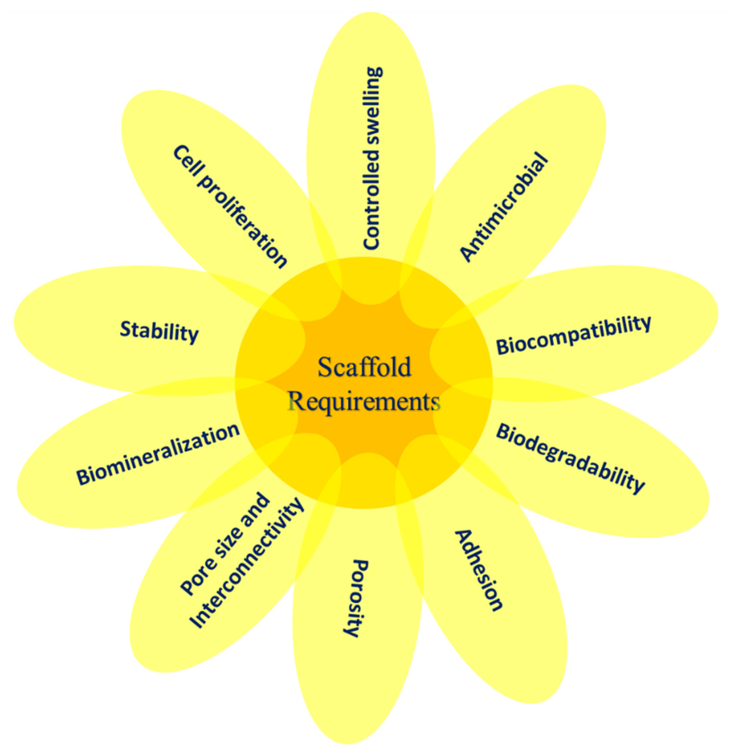Polymers 13 01105 g001