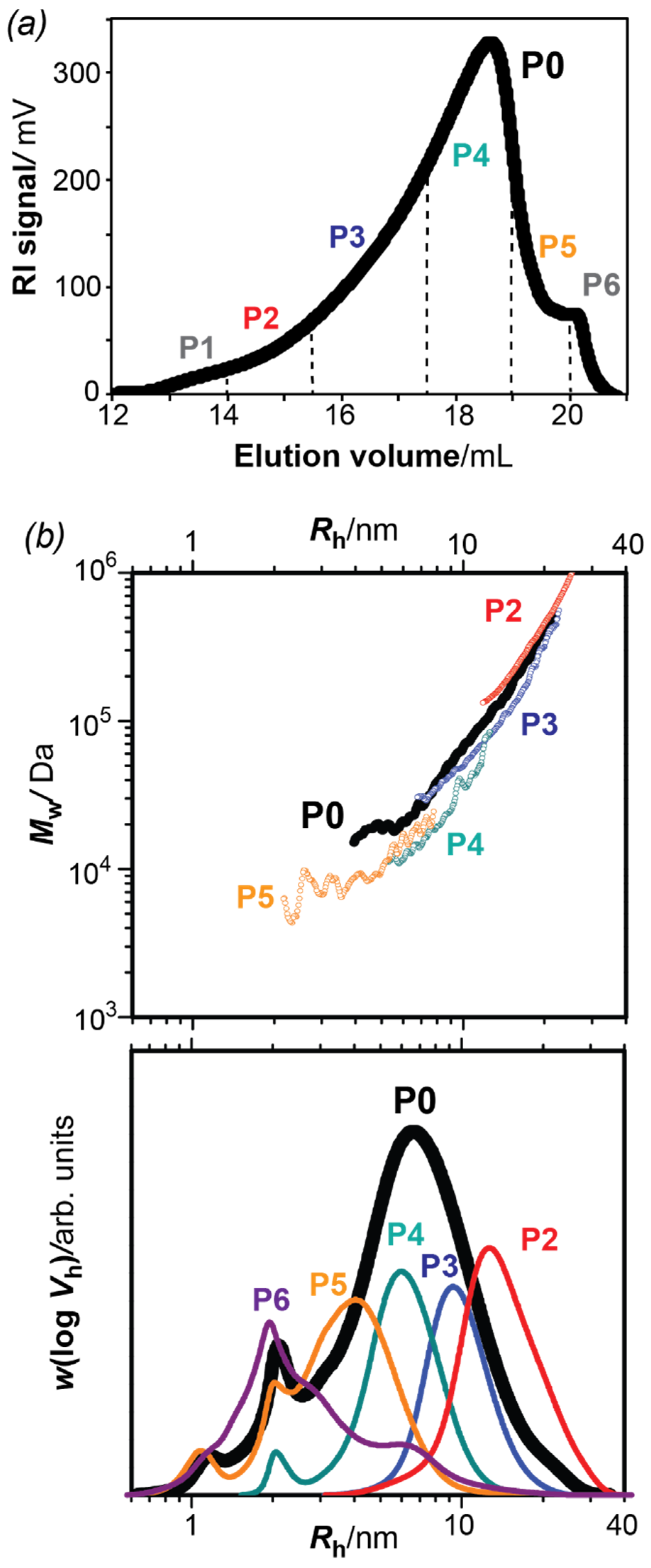 Polymers 13 01106 g001