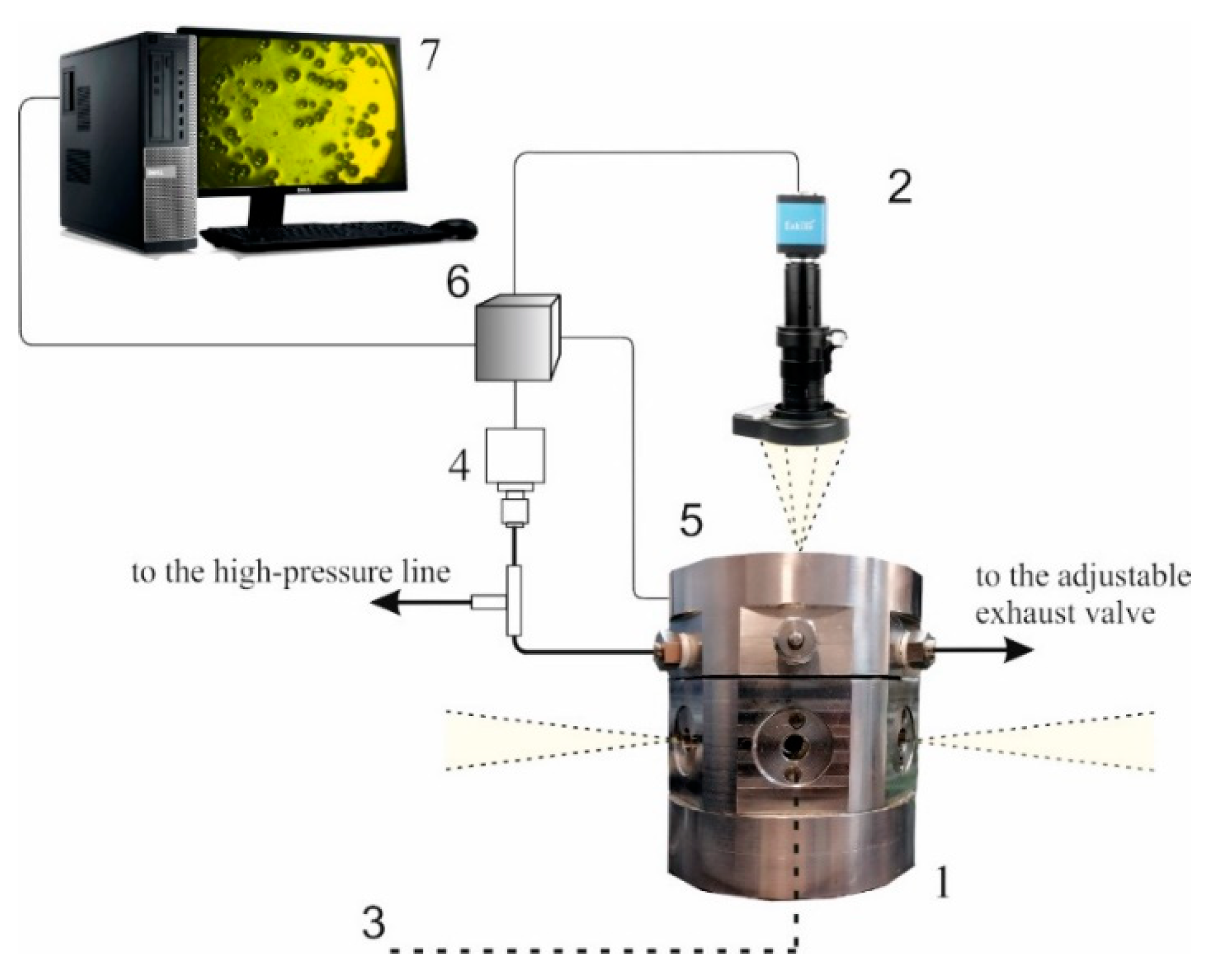 Polymers 13 01115 g002