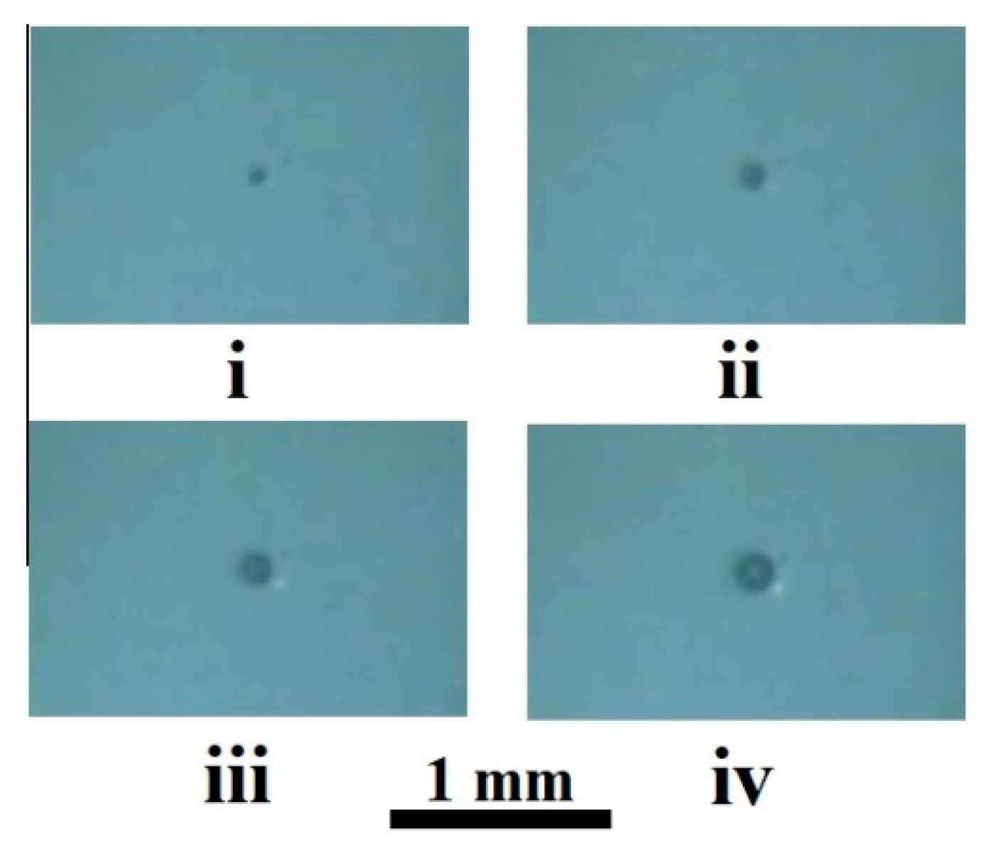 Polymers 13 01115 g003
