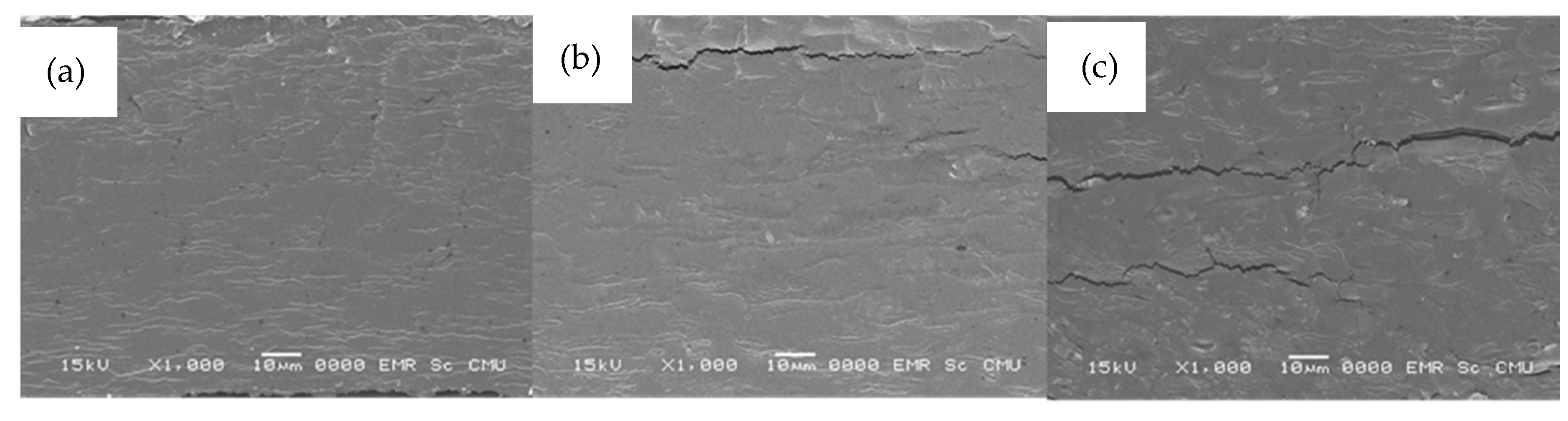 Polymers 13 01117 g005