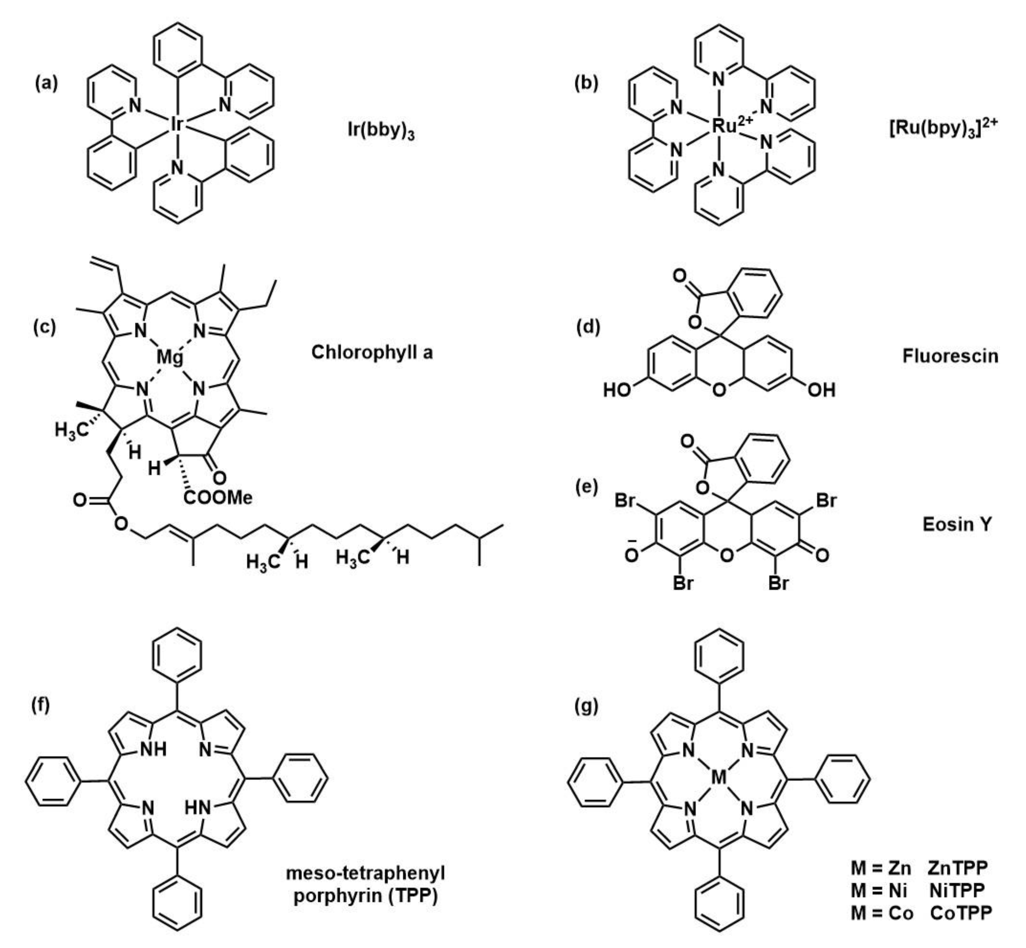 Polymers 13 01119 g004 Polymers 13 01119 g004