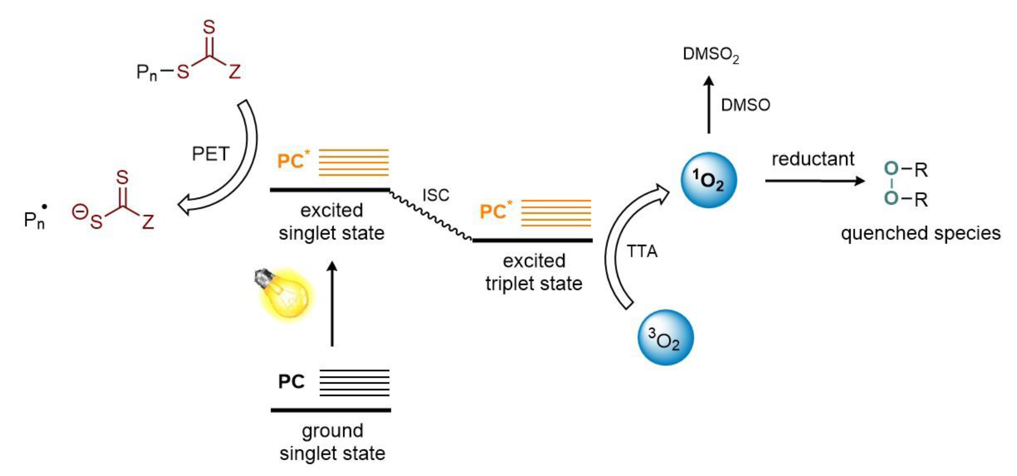 Polymers 13 01119 g008 Polymers 13 01119 g008
