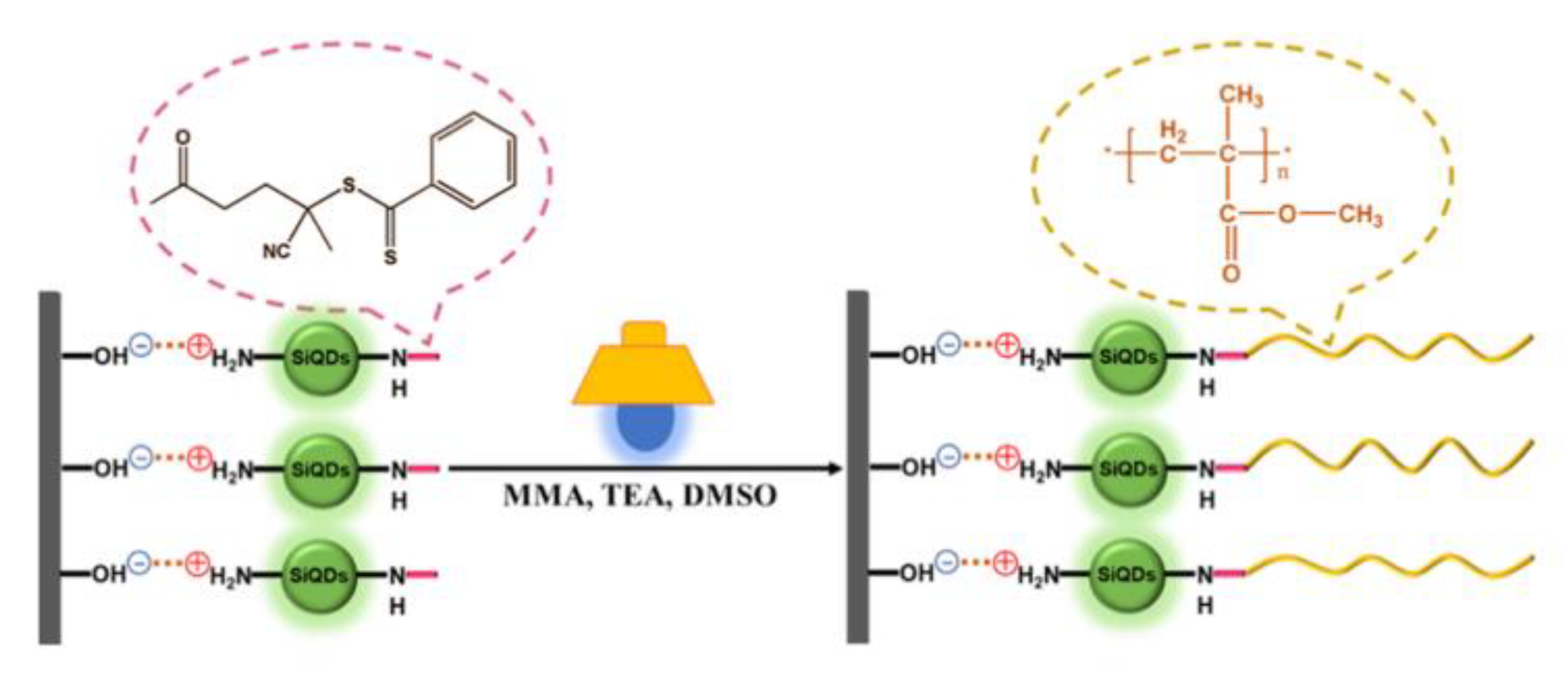 Polymers 13 01119 g011 Polymers 13 01119 g011
