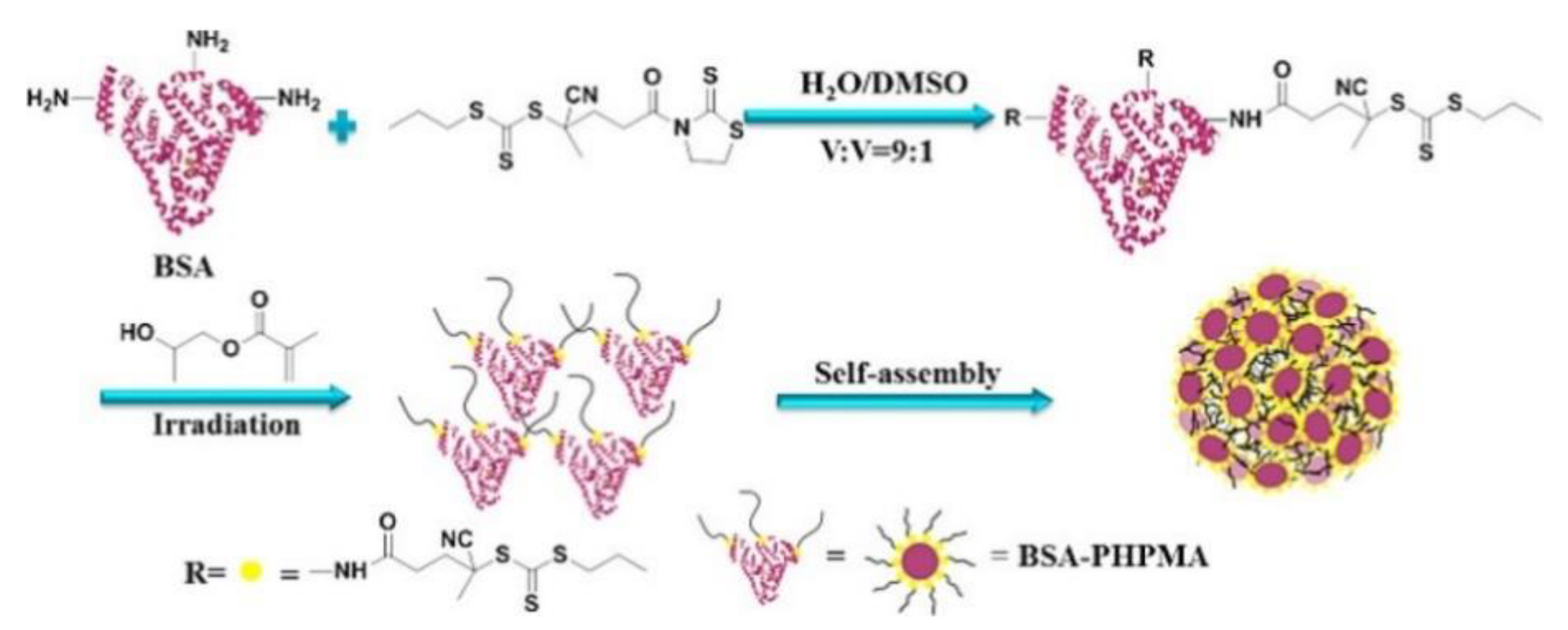 Polymers 13 01119 g016 Polymers 13 01119 g016