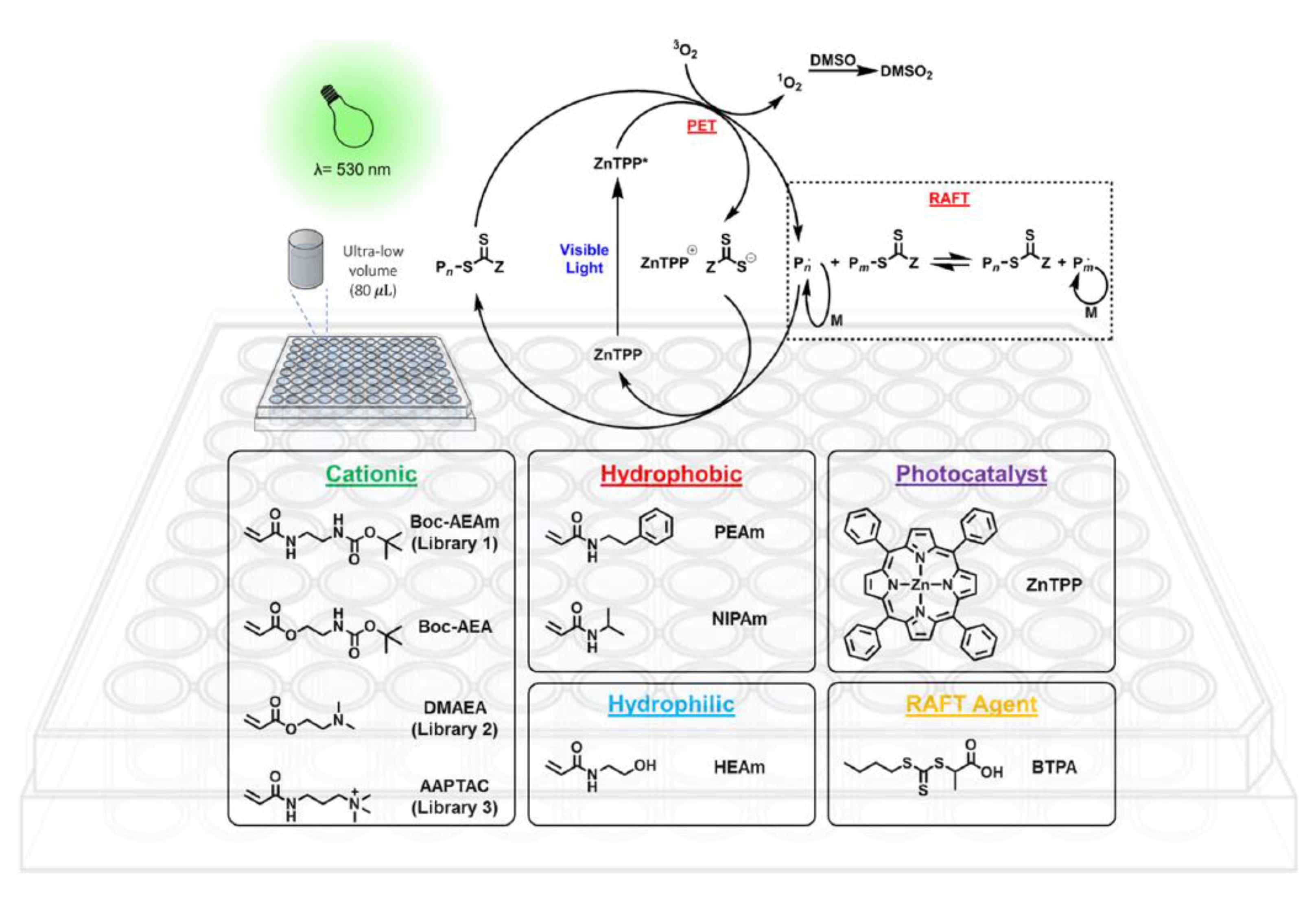 Polymers 13 01119 g020 Polymers 13 01119 g020