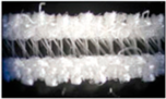 Polymers 13 01120 i001