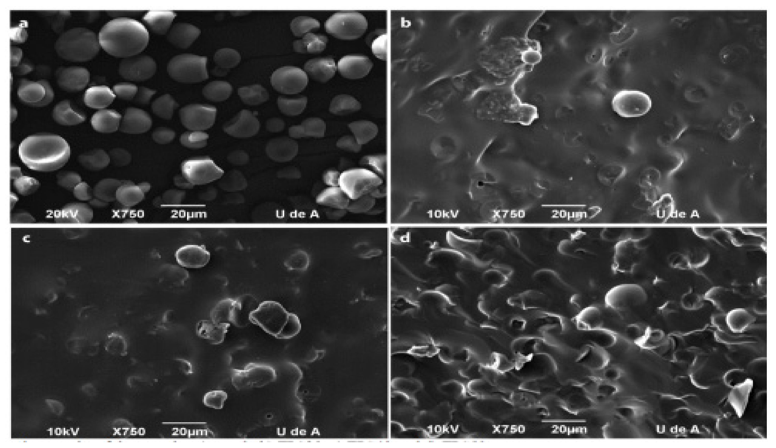 Polymers 13 01121 g002