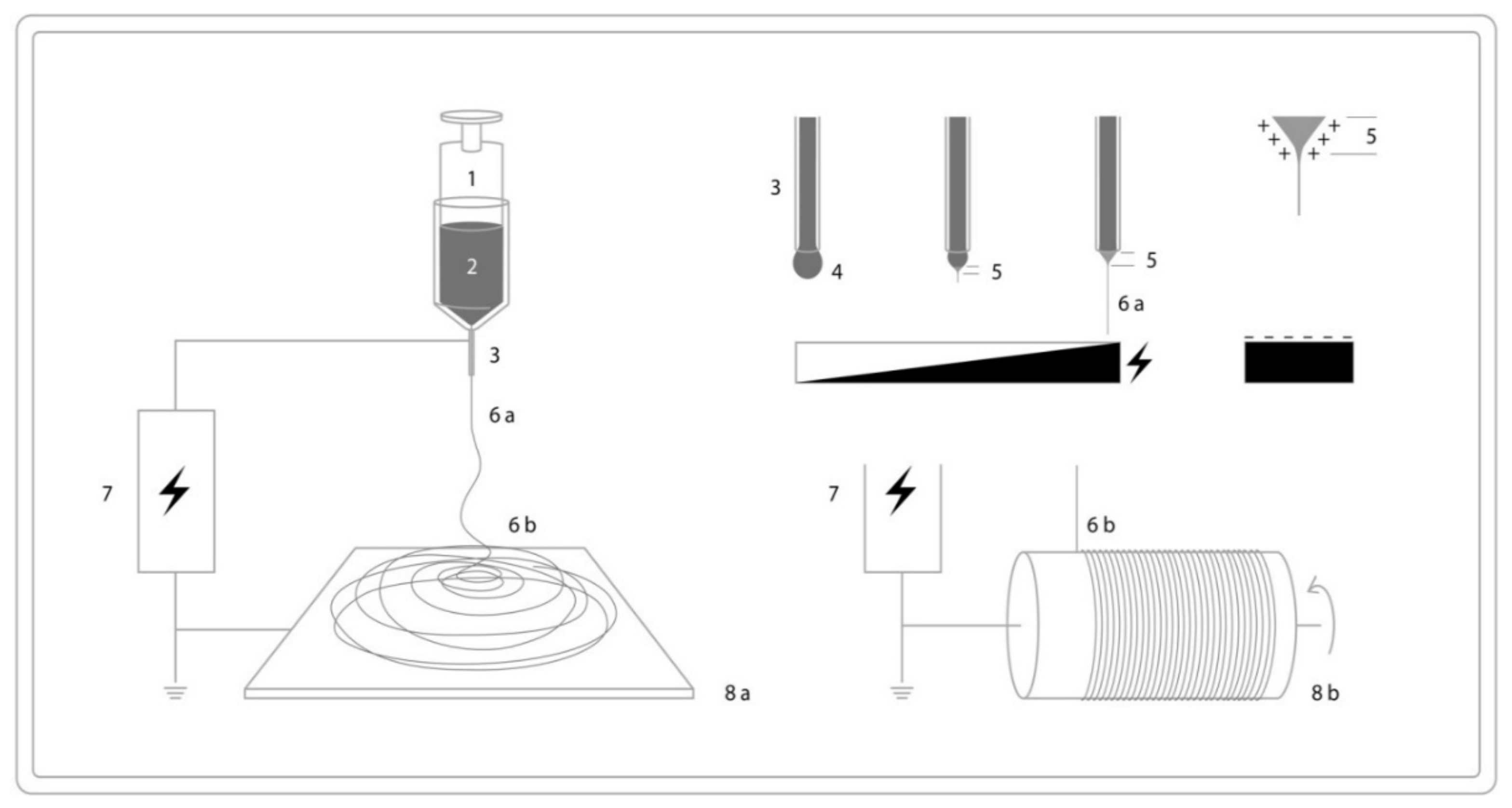 Polymers 13 01121 g005