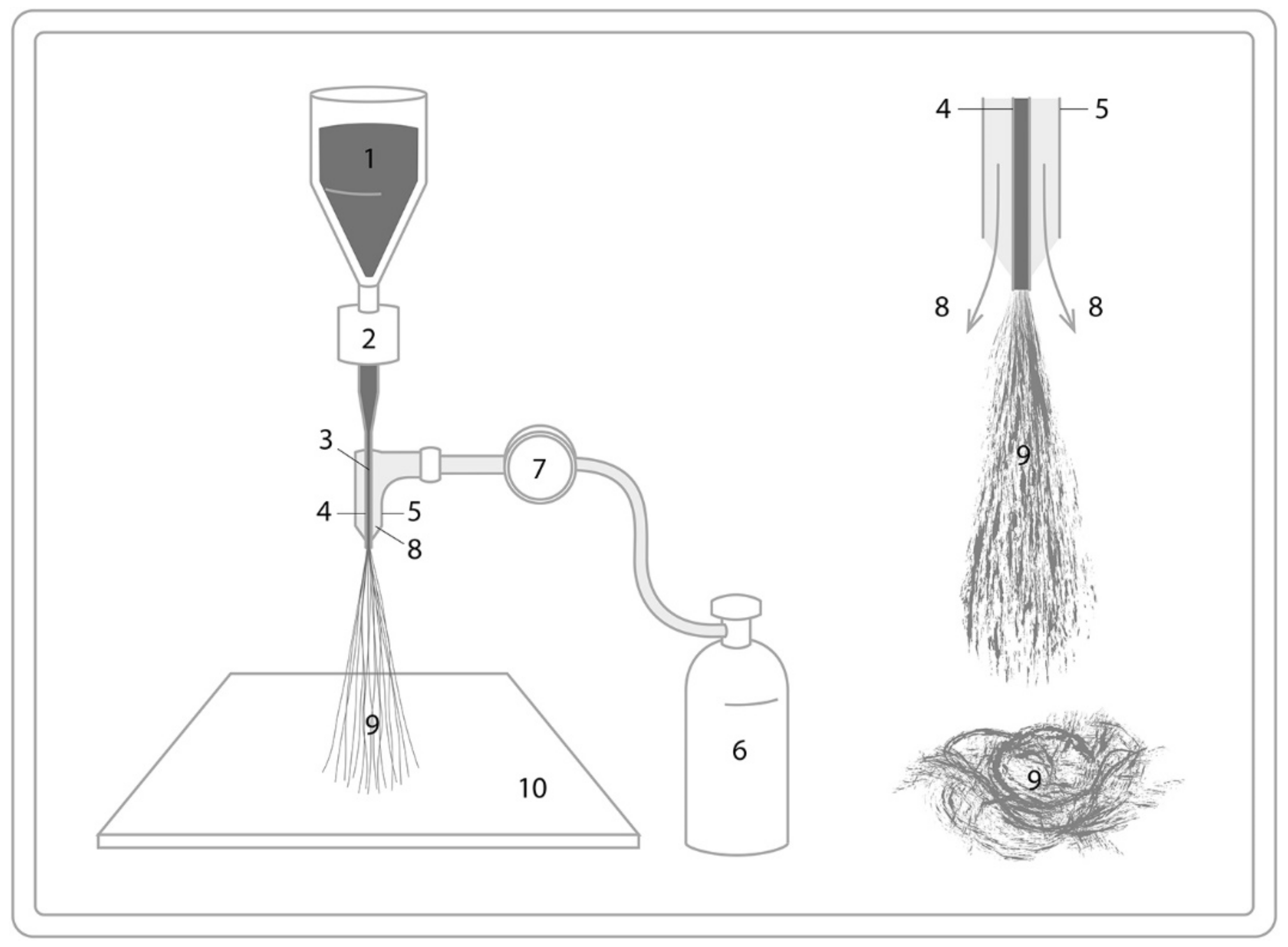 Polymers 13 01121 g007