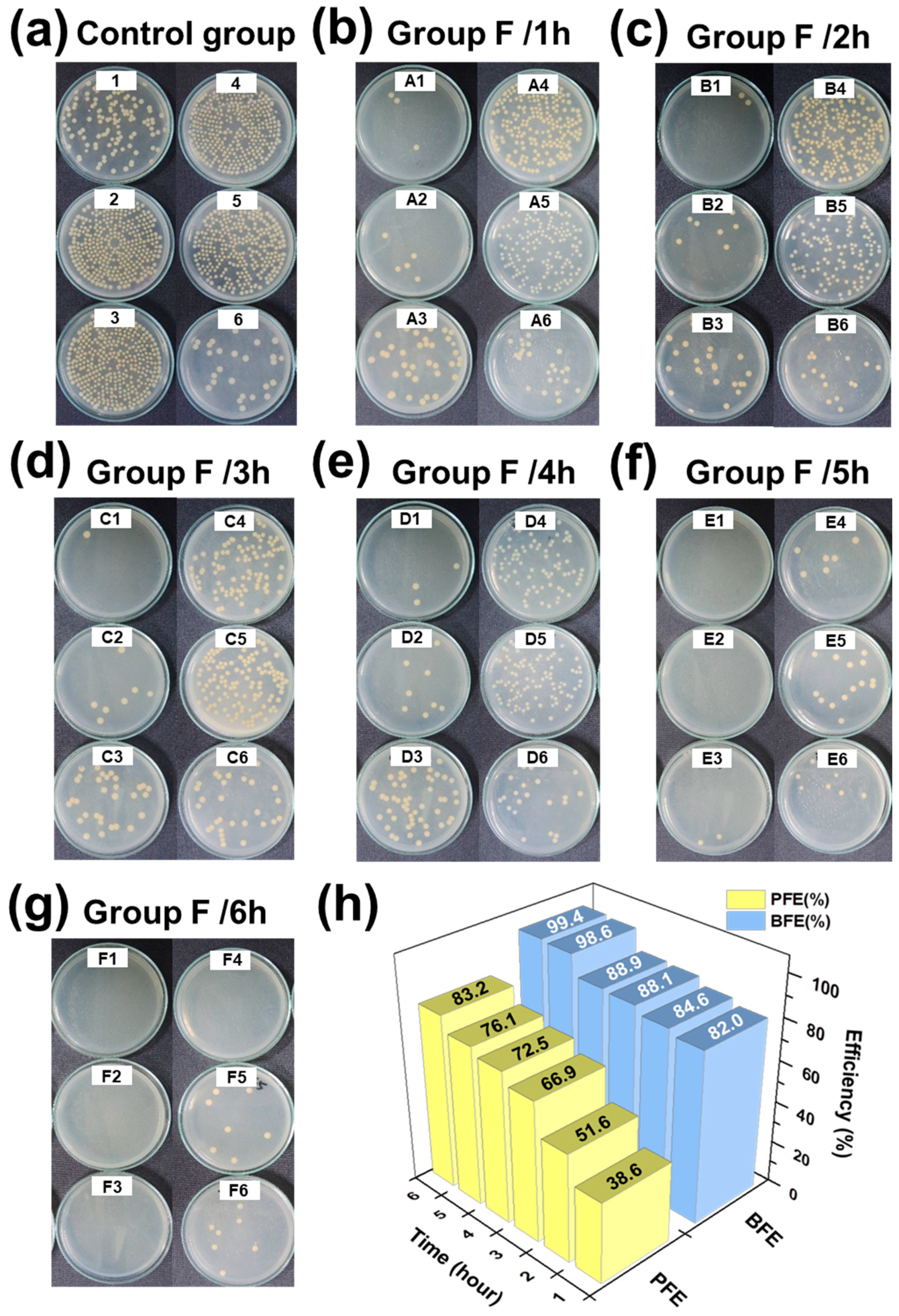 Polymers 13 01122 g006