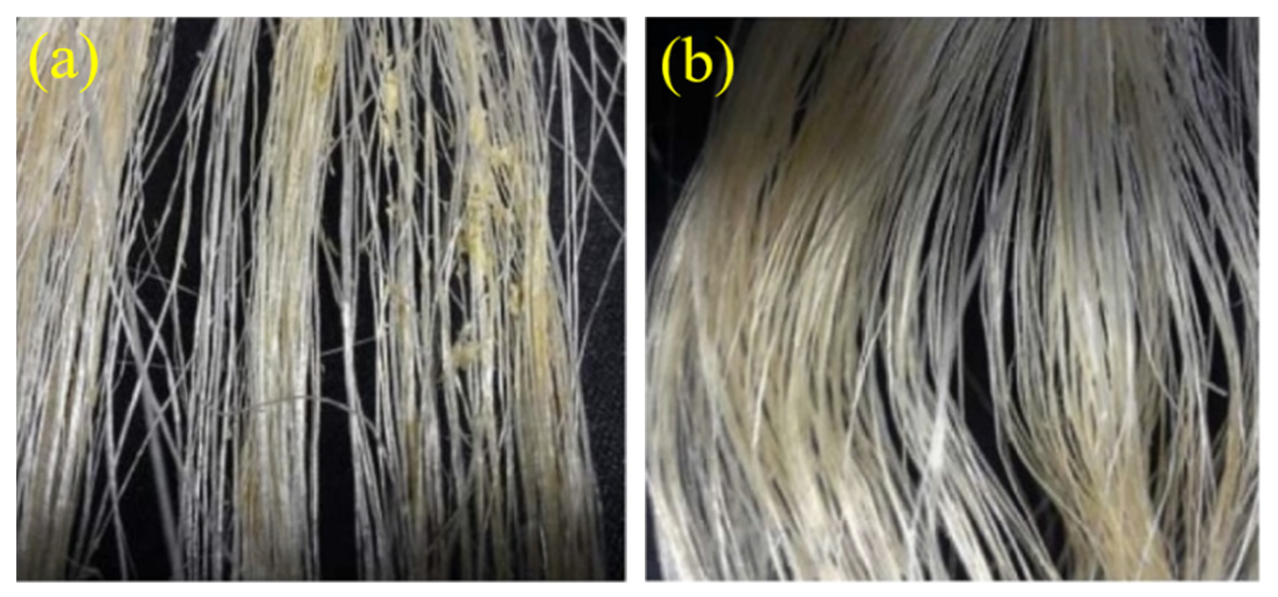 Polymers 13 01124 g001 Polymers 13 01124 g001